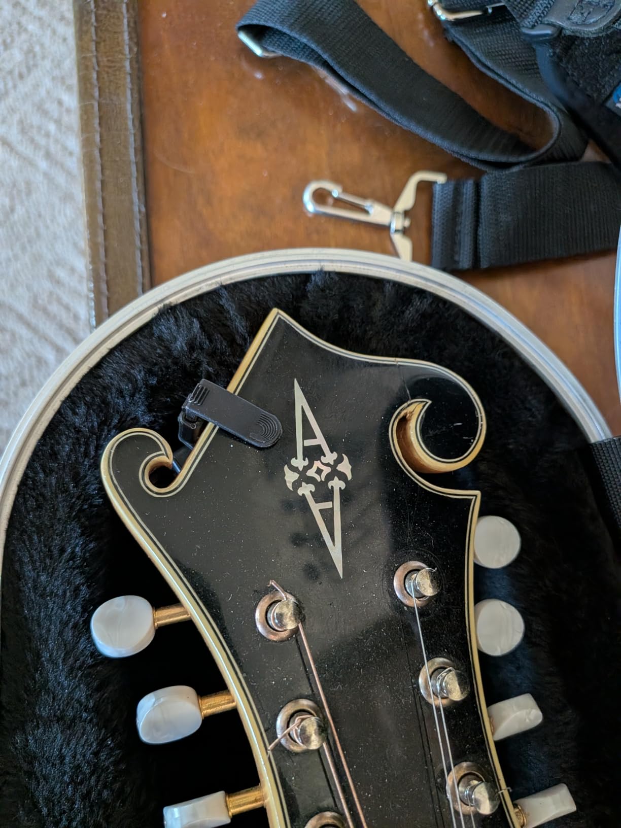 Gator Cases Deluxe ABS Molded Case for Mandolins; Fits Both 'A' and 'F' Style Mandolins (GC-Mandolin) customer photo 1