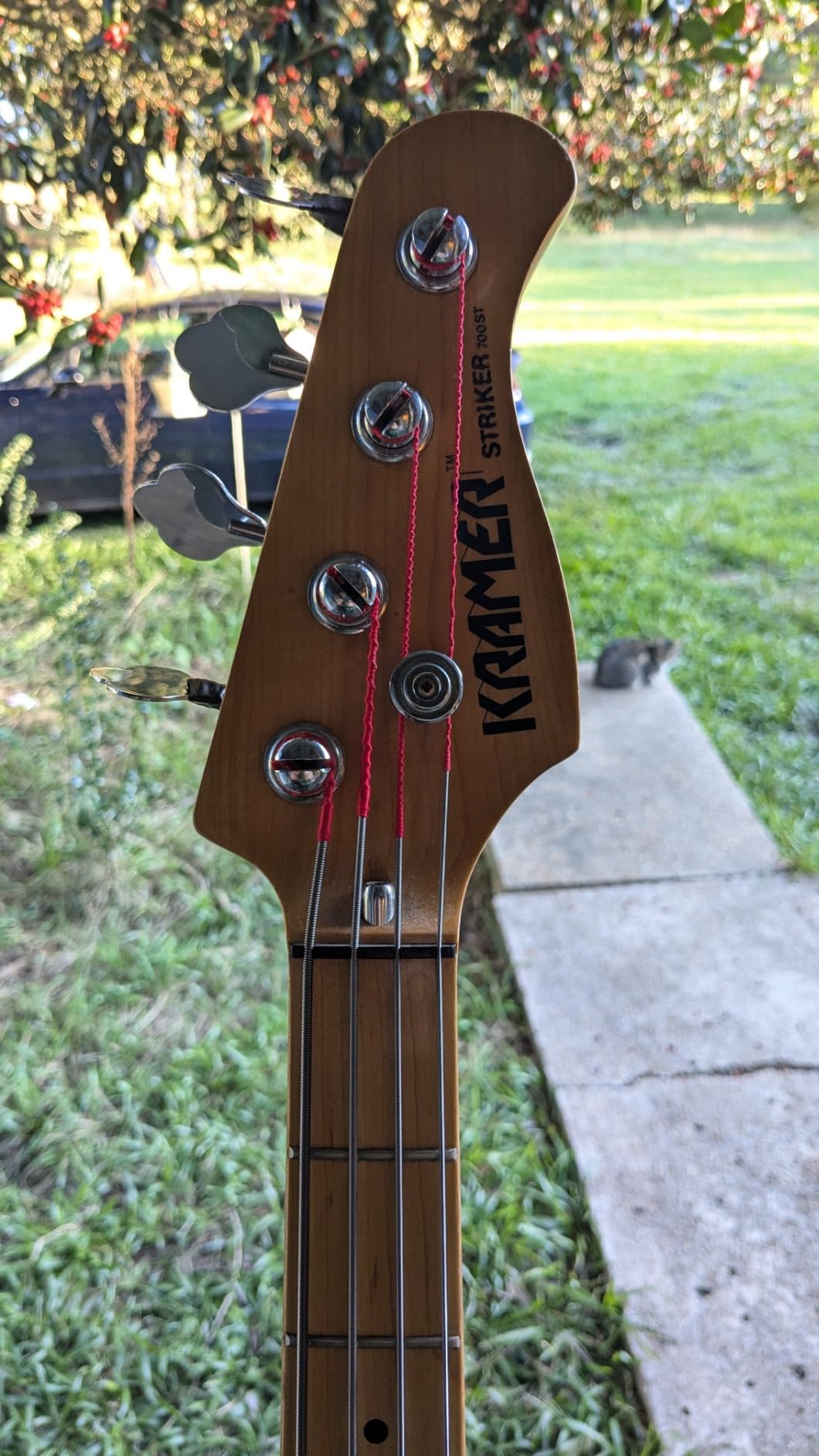 Rotosound RS66LD Swing Bass 66 Stainless Steel Bass Guitar Strings (45-105) customer photo 1