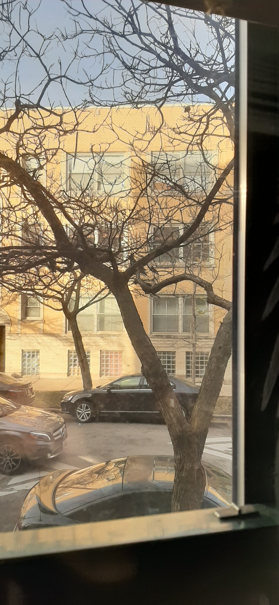3M 2170W-6 Outside Window Insulator Kit customer photo 1
