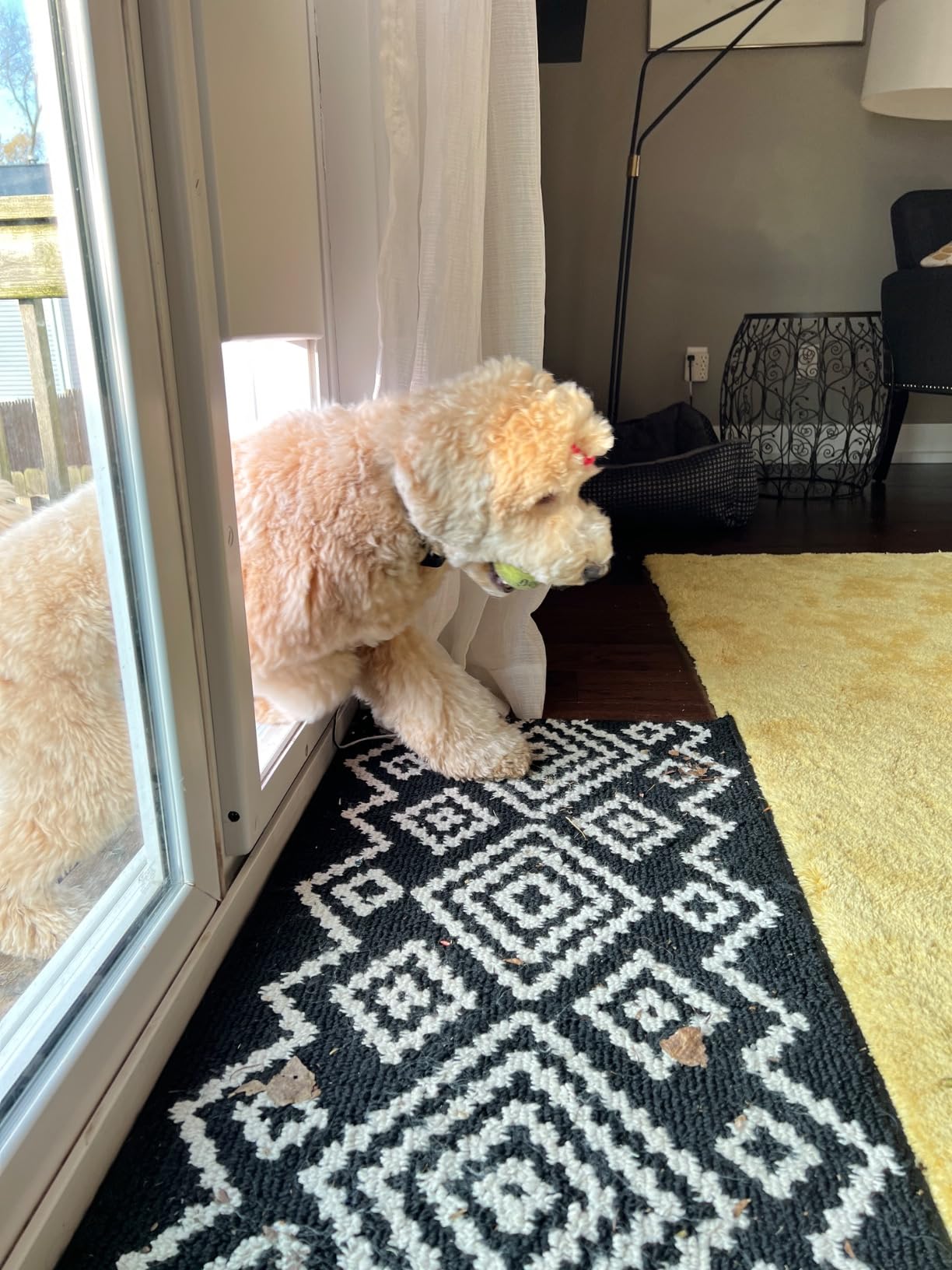 Power Pet Automatic Sliding Glass Patio Pet Door by High Tech Pet - Pet Operated Dog Door, Heavy-Duty Aluminum Frame (75