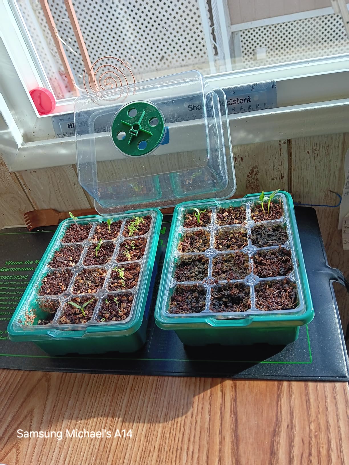 VIVOSUN Durable Waterproof Seedling Heat Mat 20