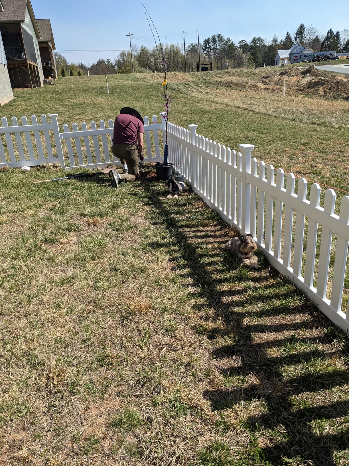 WamBam Newport Picket Gate, White Vinyl DIY No Dig Kit | 33.5inH x 42inW, 1 Gate, Hardware Included, ZP19004 customer photo 1