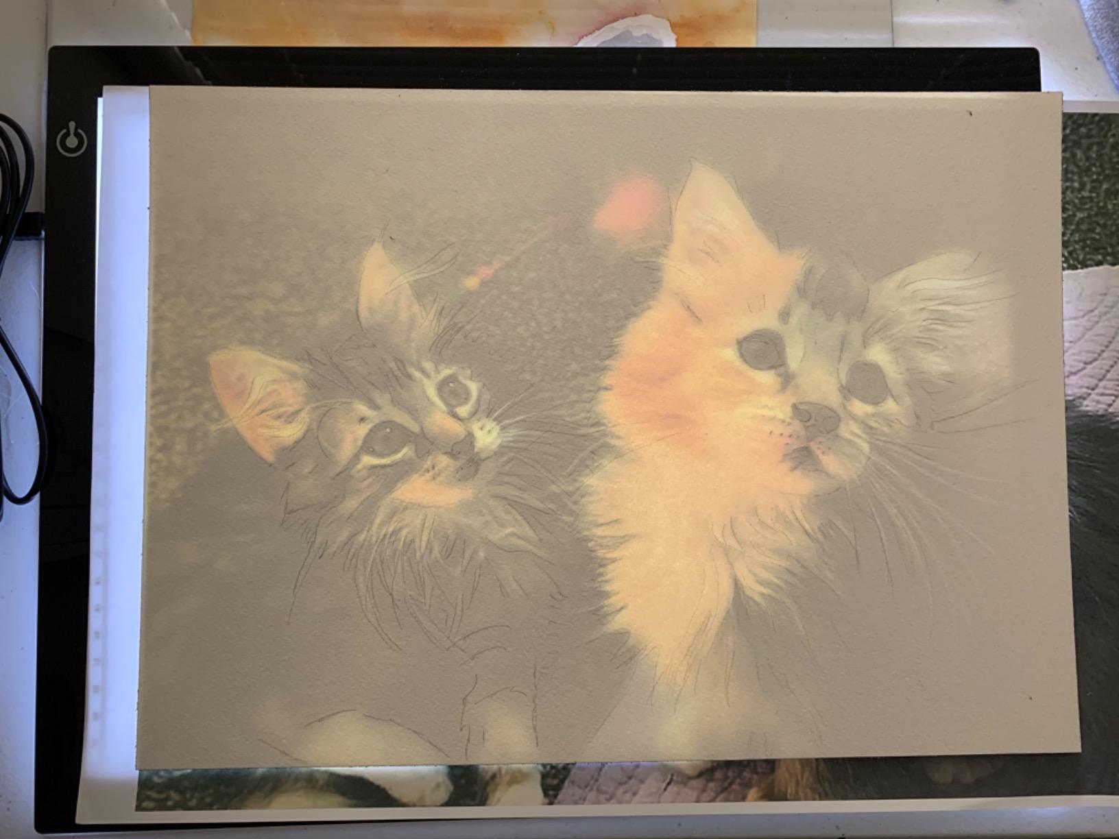 GAOMON B4 Size LED Light Box 5 Millimeters Ultrathin Light Pad USB Art Tracing Board for Sketch Copy and Handwork - GB4 customer photo 2
