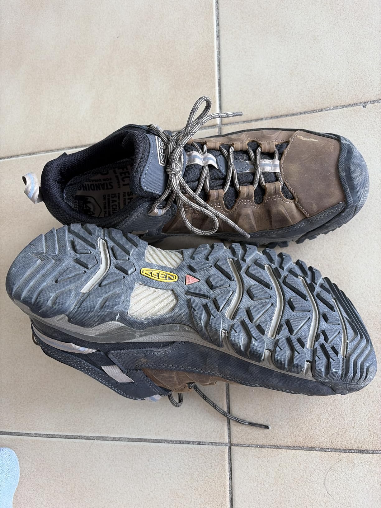 KEEN Men's Targhee 3 Low Height Waterproof Hiking Shoes customer photo 1