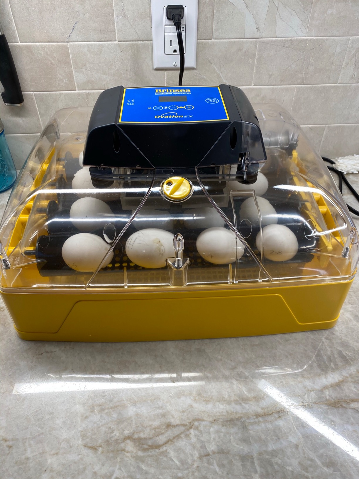 Brinsea Ovation 28 EX Egg Incubator, Automatic Turning & Humidity Control | Built-in automatic humidity, auto-turn & temp alarms take the stress out of hatching 28 eggs customer photo 1