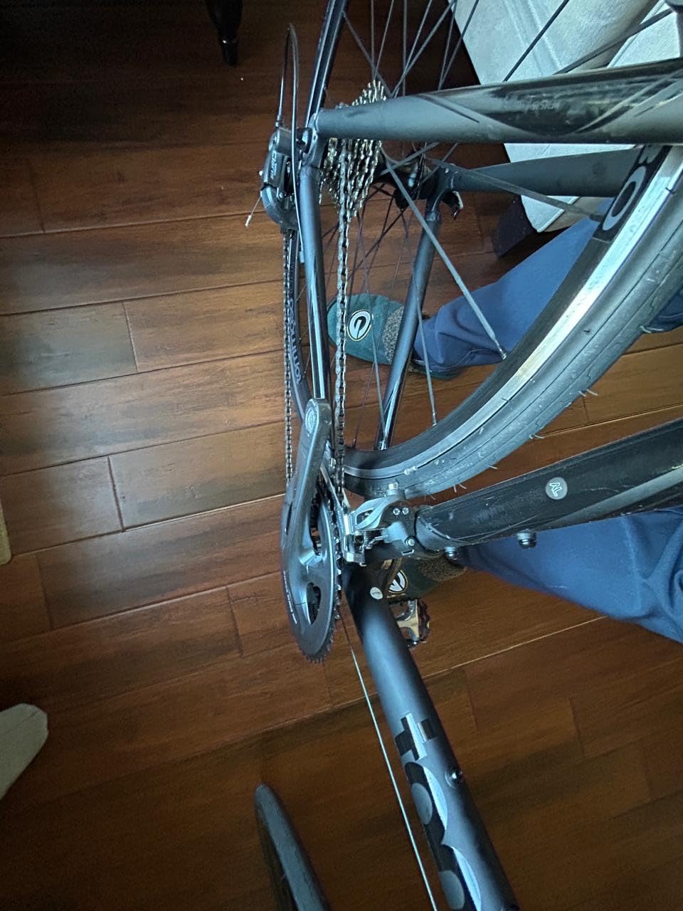 Tommaso Forcella Sport Bike Performance Aluminum Road Bike Carbon Fork, Shimano Claris 24 Speeds customer photo 1