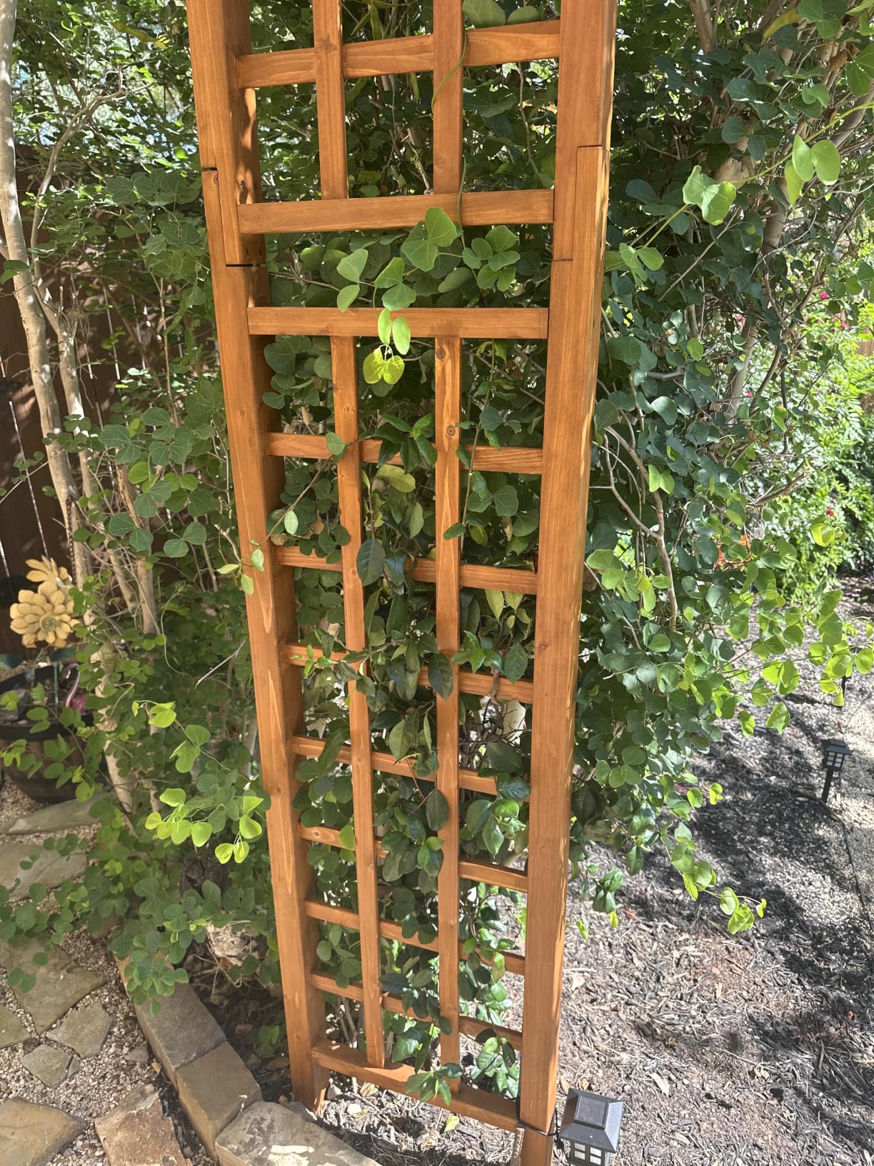 Outsunny 90in Wood Garden Arbor Arch with Trellis Wall for Climbing & Hanging Plants, Decor for Party, Weddings, Birthdays & Backyards customer photo 1