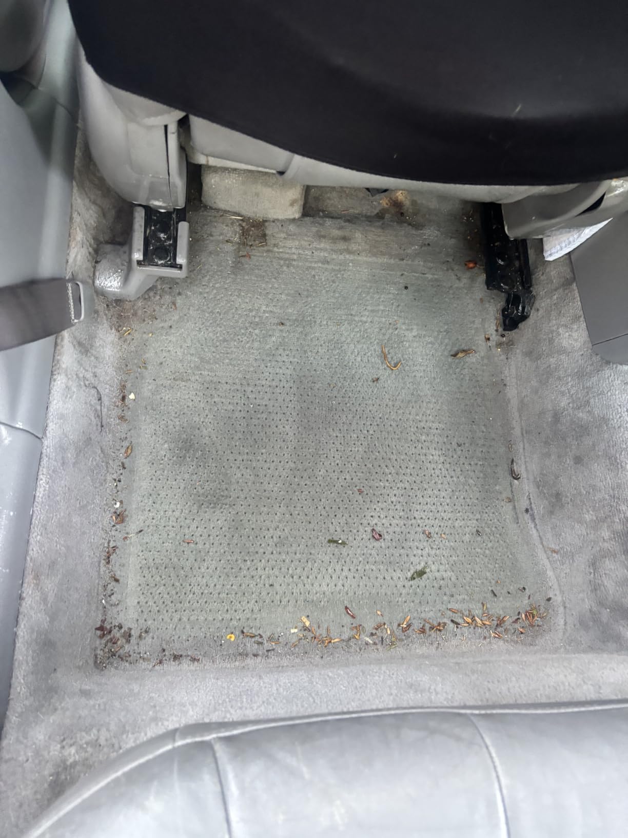 P & S PROFESSIONAL DETAIL PRODUCTS Carpet Bomber - Professional Upholstery Cleaner, Citrus-Based Formula, Removes Grease, Dirt & Odors, Highly Dilutable, Safe for Engines & Wheel Wells - 1 Gallon customer photo 1