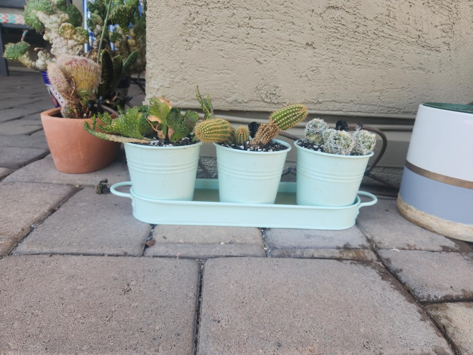Barnyard Designs Indoor Herb Garden Planter Set with Tray, Metal Windowsill Plant Pots with Drainage for Outdoor or Indoor Plants, Set/3 (White) customer photo 2