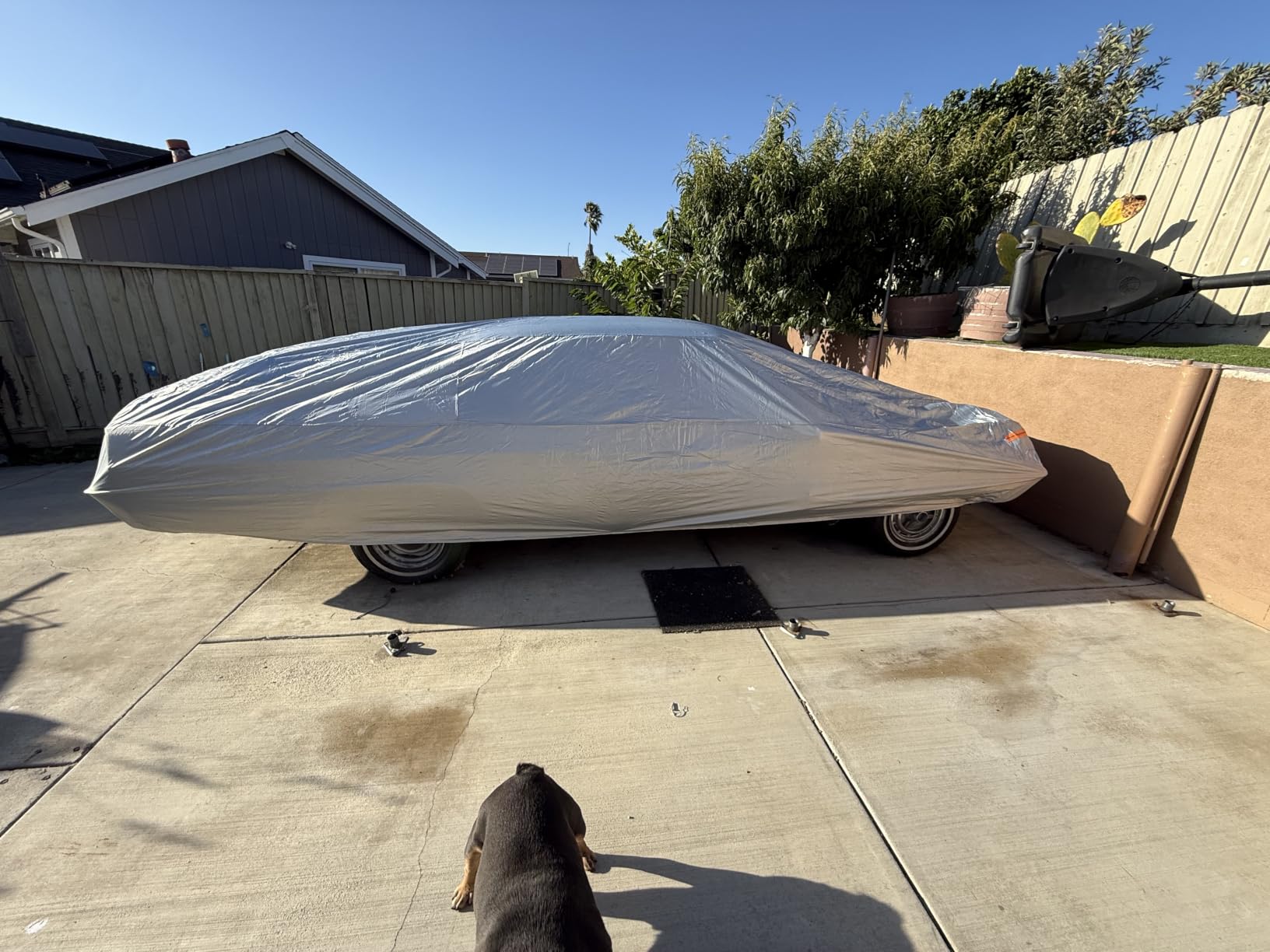Kayme Truck Cover Waterproof All Weather - See Vehicle Size Chart - Heavy Duty Outdoor Pickup Cover Sun Uv Rain Protection, Universal Fit Most Extended Cab Short Bed. Length Up to 228 inch. customer photo 1