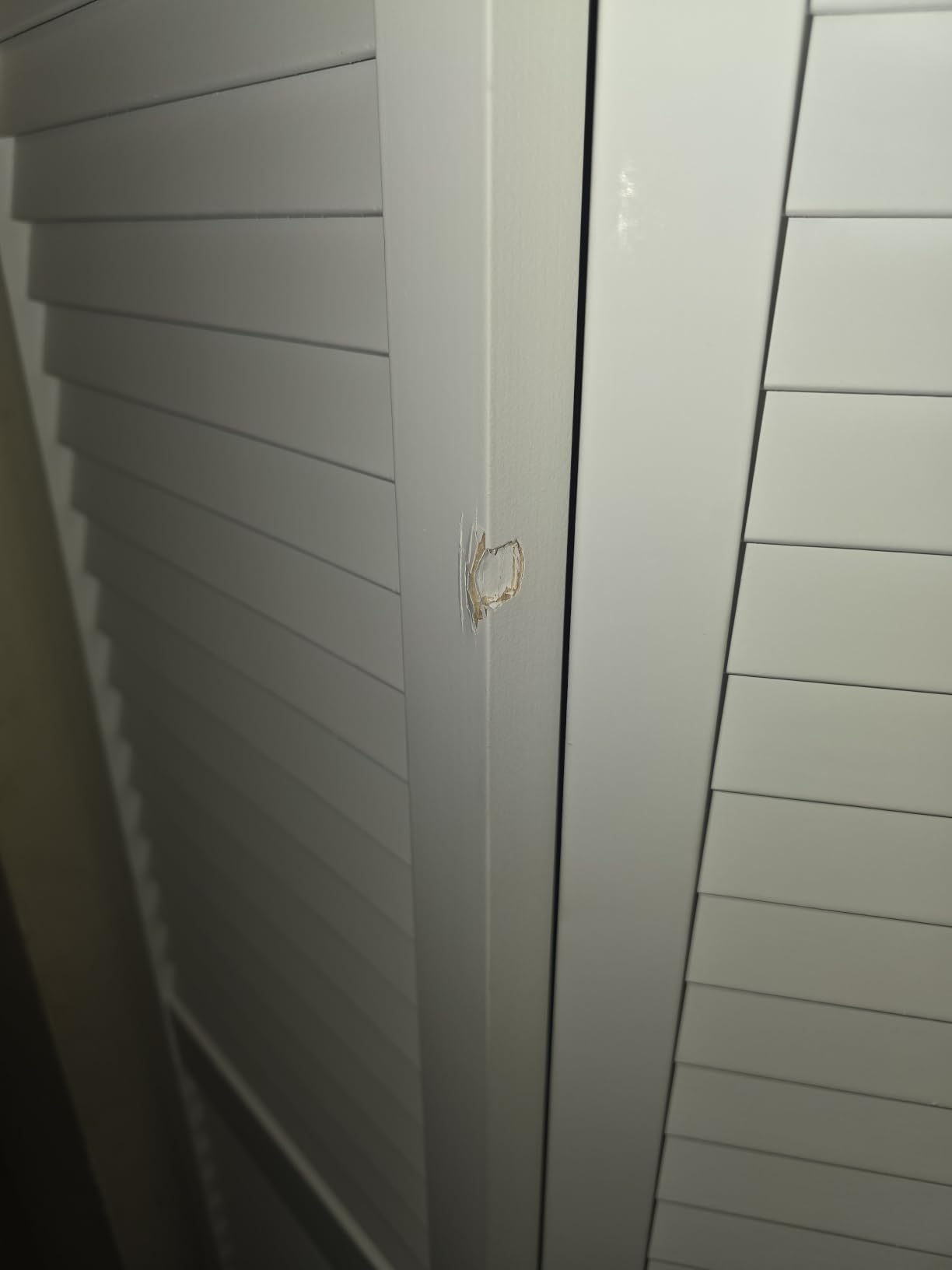 Kimberly Bay Closet Door, Bi-fold, Traditional Louver-Louver White (80x32) customer photo 1