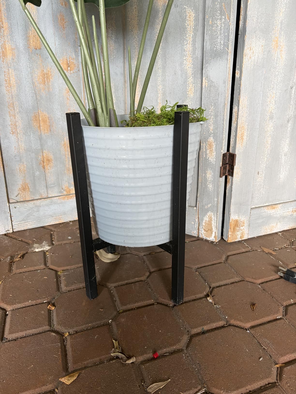 Mkono Plant Stand - EXCLUDING Plant Pot, Mid Century Modern Tall Metal Stand Indoor Flower Potted Holder, Display Rack, Fits Up to 10 Inch Planter, Black customer photo 1