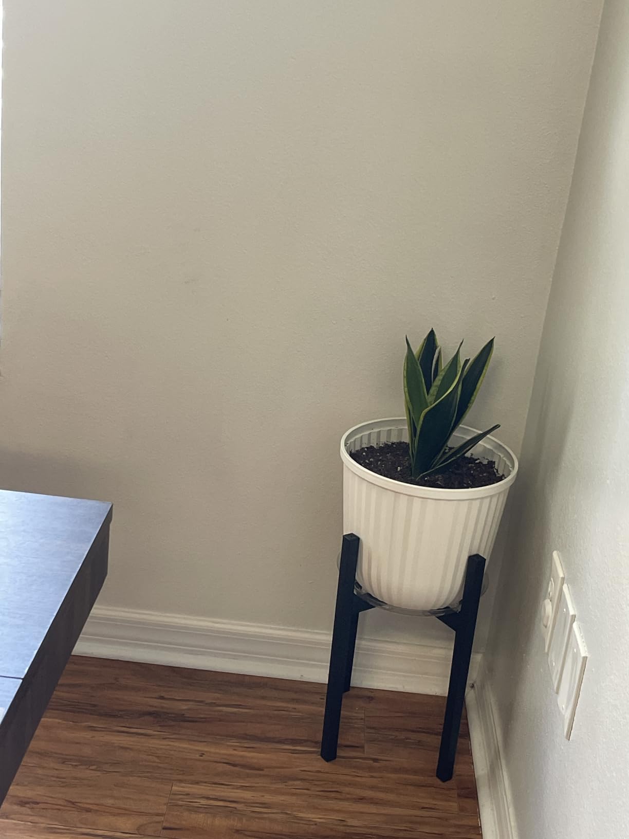 Mkono Plant Stand - EXCLUDING Plant Pot, Mid Century Modern Tall Metal Stand Indoor Flower Potted Holder, Display Rack, Fits Up to 10 Inch Planter, Black customer photo 2