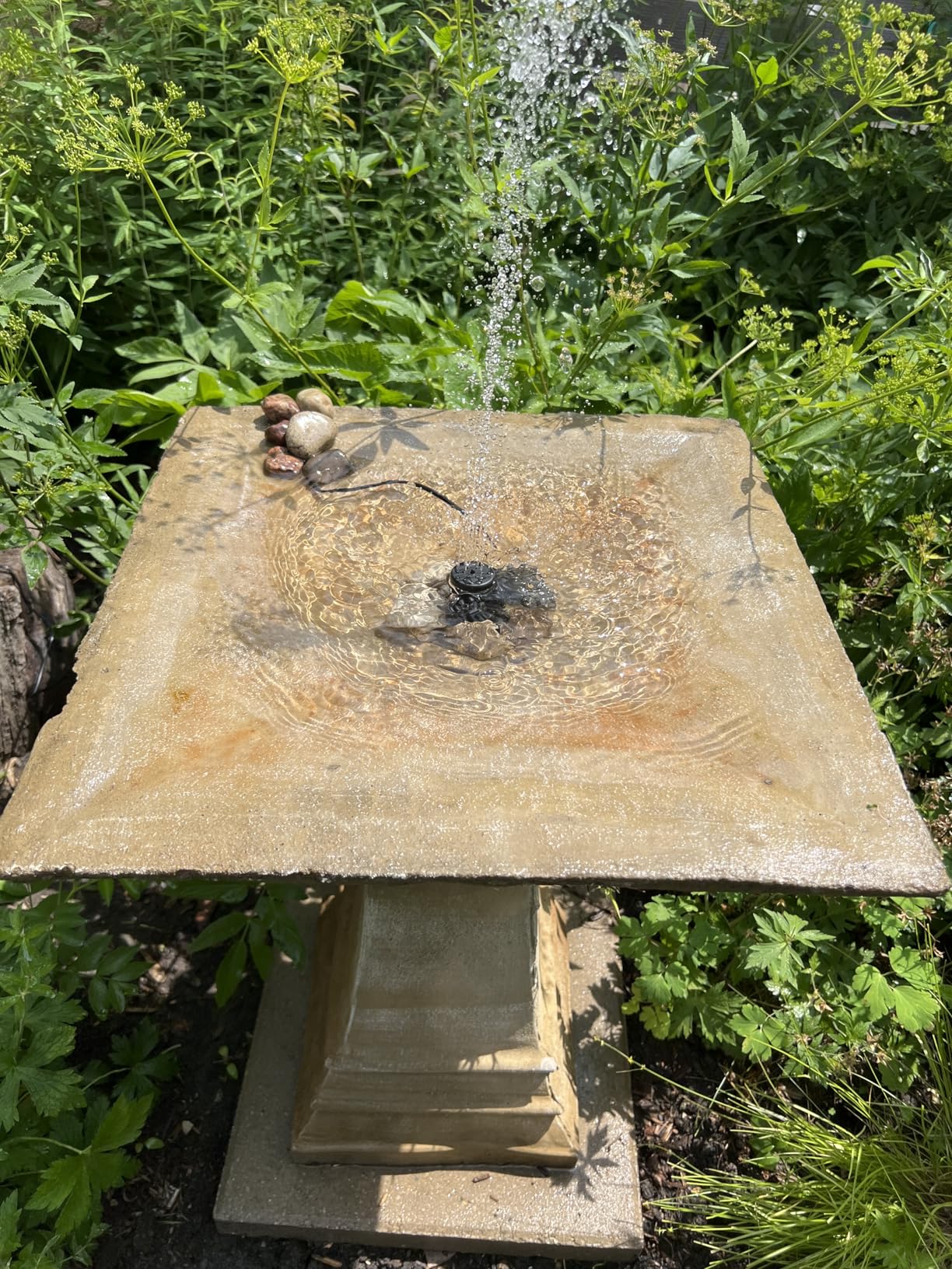 Solar Fountain Pump for Birdbath, 1.8W Free Standing Solar Water Fountain, Solar Powered Water Pump Kit for Bird Bath, Small Pond, Garden and Lawn customer photo 1