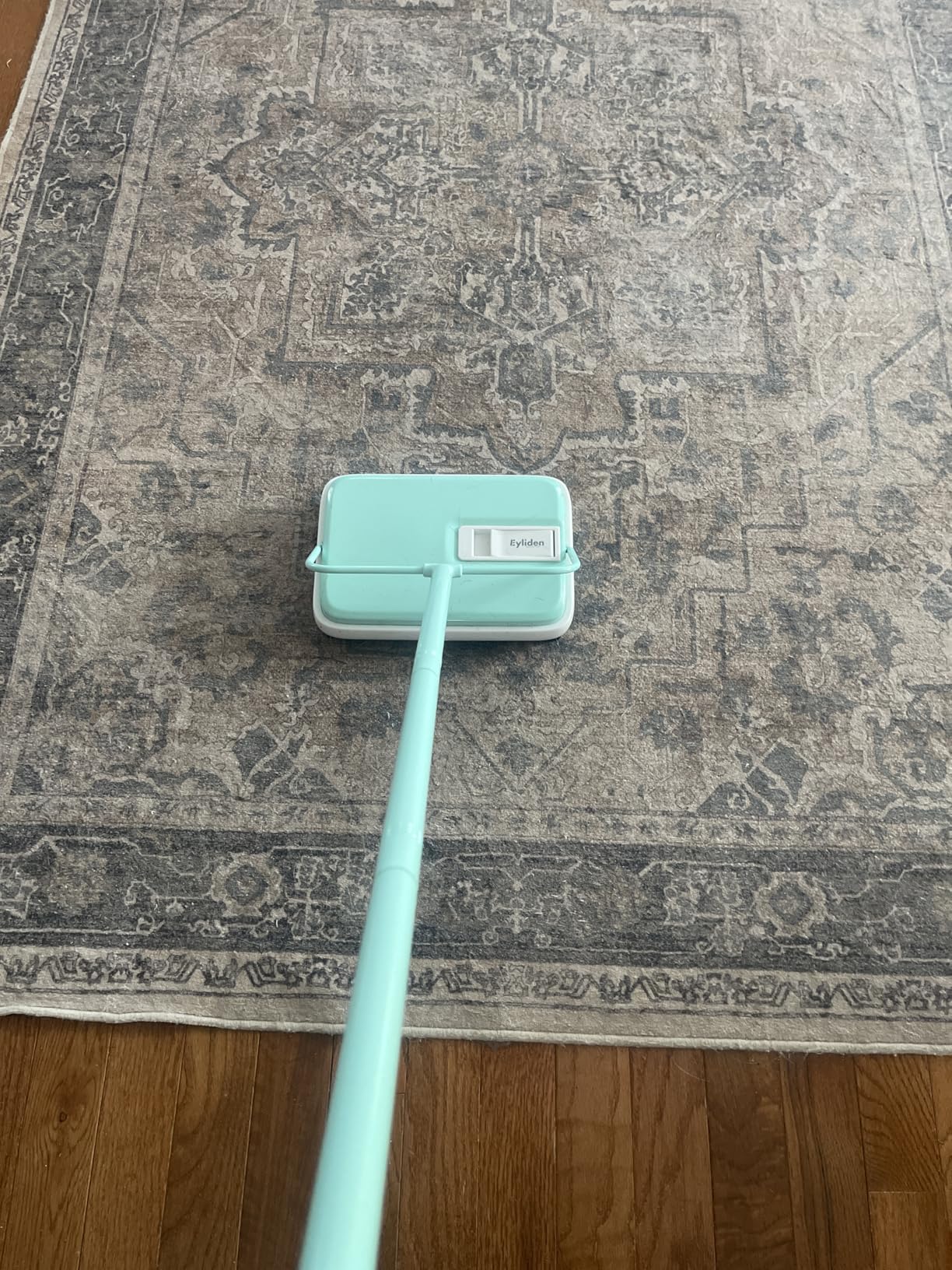 Eyliden Carpet Sweeper, Mini Size, Manual Sweeping, Red | Lightweight, Hand Push - No Noise, Non-Electric, Easy Cleaner, Only for Carpet and Rug Cleaning customer photo 2