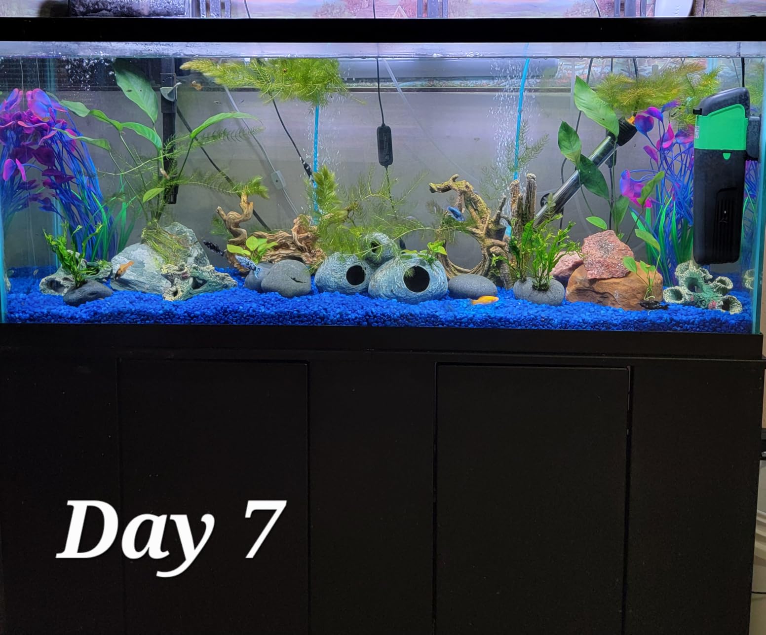 Internal Green Water Killer Aquarium Filter Tank U-V Pump customer photo 2