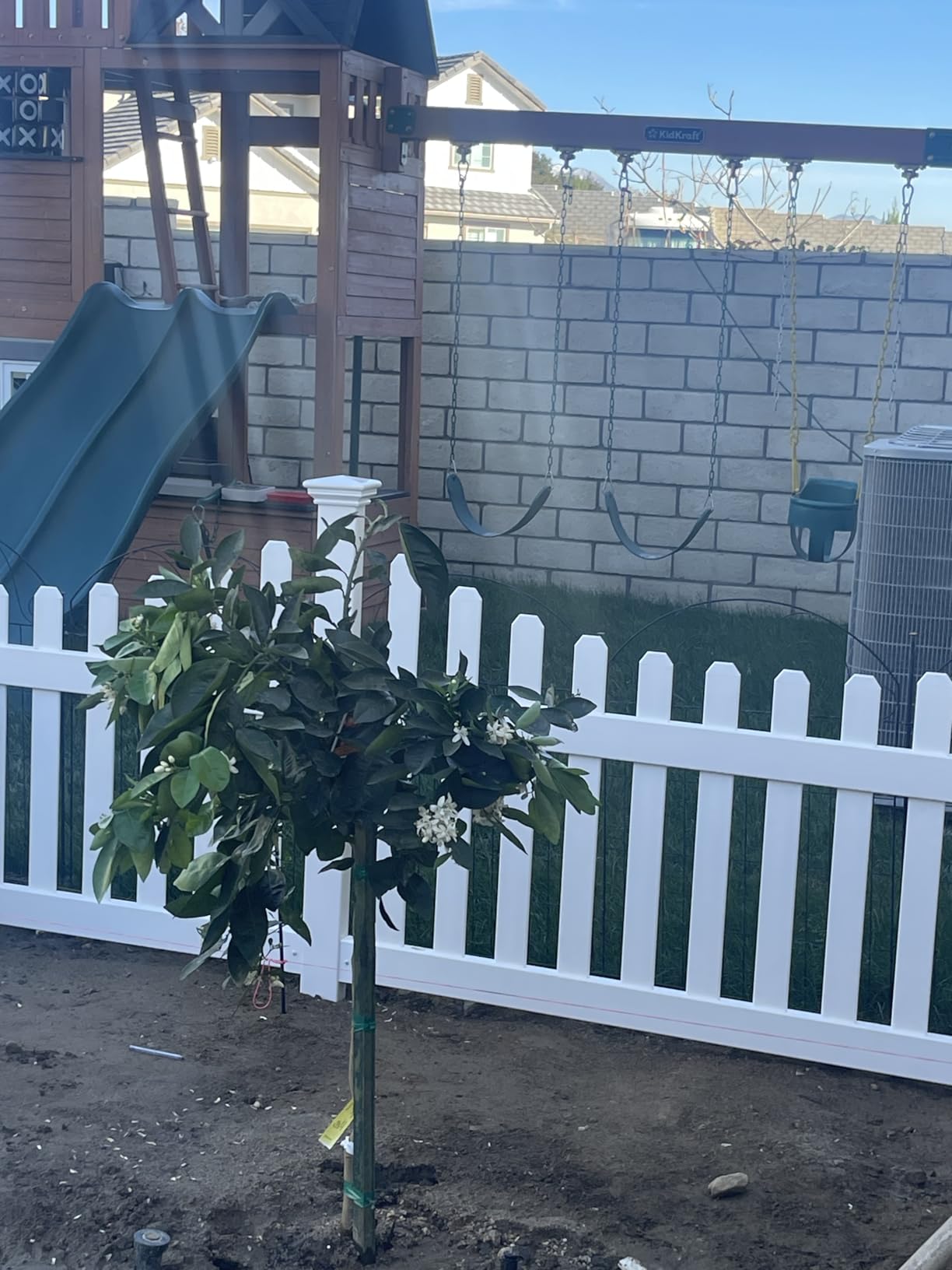 WamBam All American Scalloped Picket Gate, White Vinyl DIY No Dig Kit | 3ftH x 3.5ftW, 1 Gate, Hardware Included, ZP19043 customer photo 2