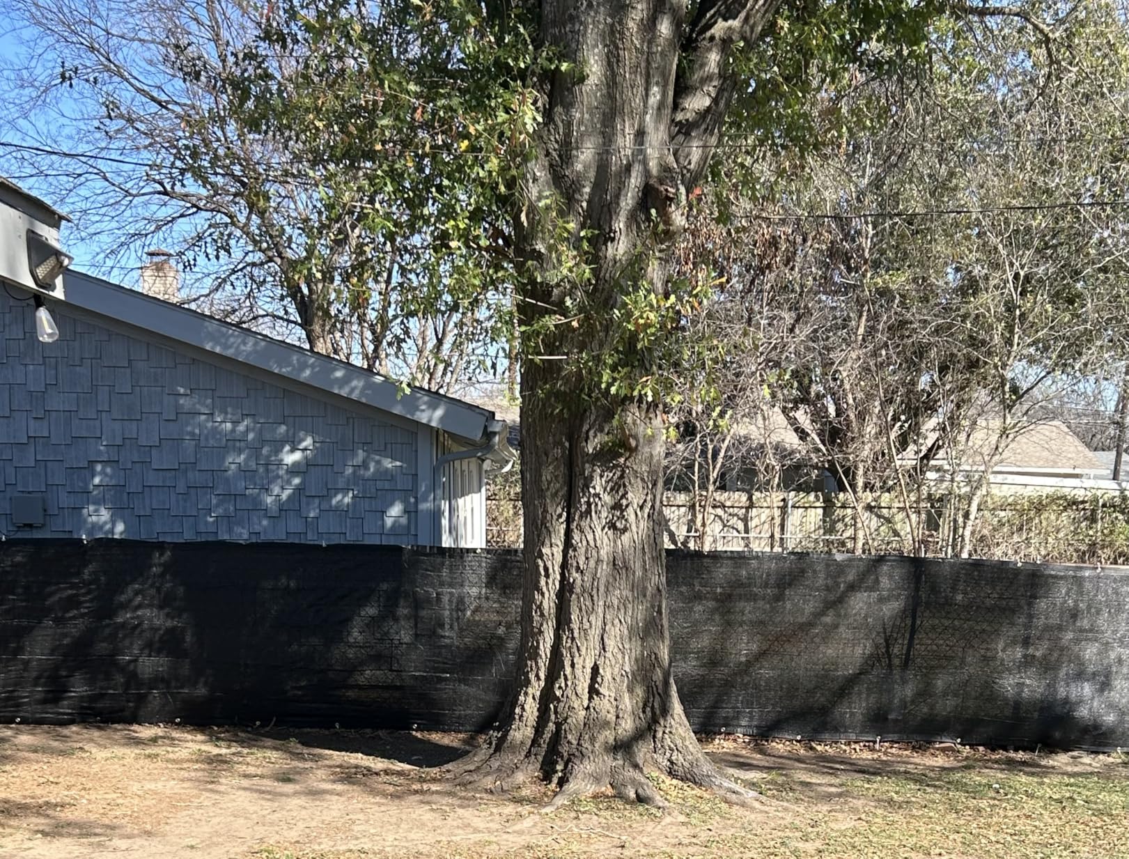 Sunnyglade 6 feet x 50 feet Privacy Screen Fence Heavy Duty Fencing Mesh Shade Net Cover for Wall Garden Yard Backyard (Black, 6 ft X 50 ft) customer photo 1