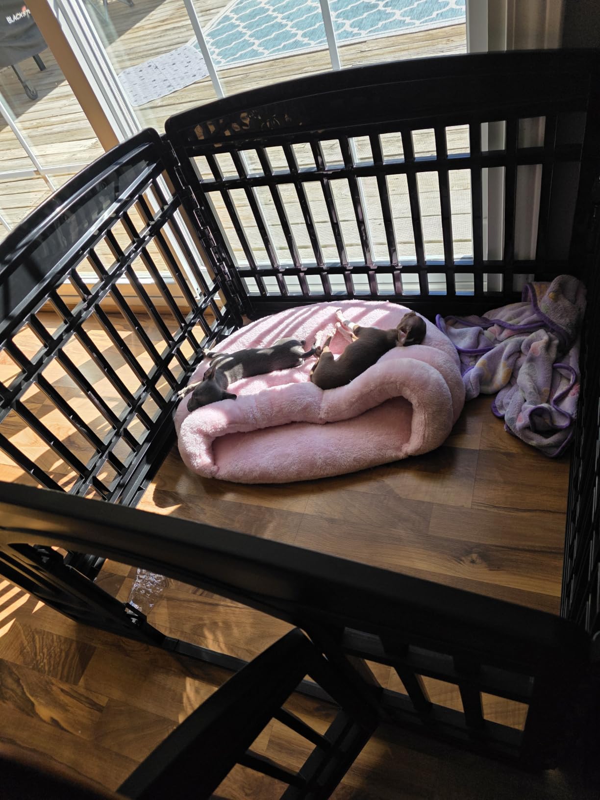 IRIS USA Dog Playpen with Door, 34