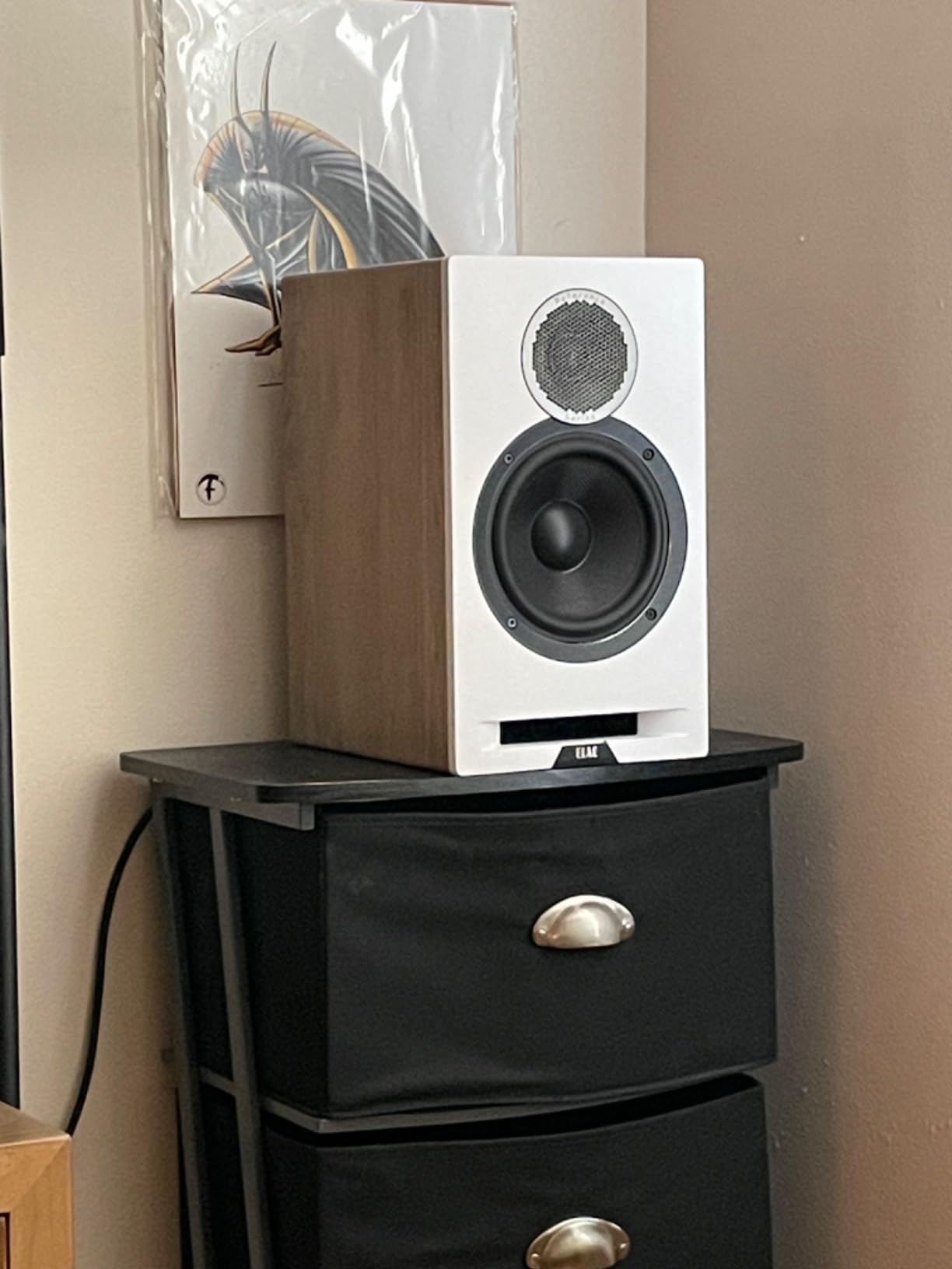 ELAC Debut Reference B6.2 Bookshelf Speakers - (Pair) Black Baffle, Walnut Cabinet customer photo 1