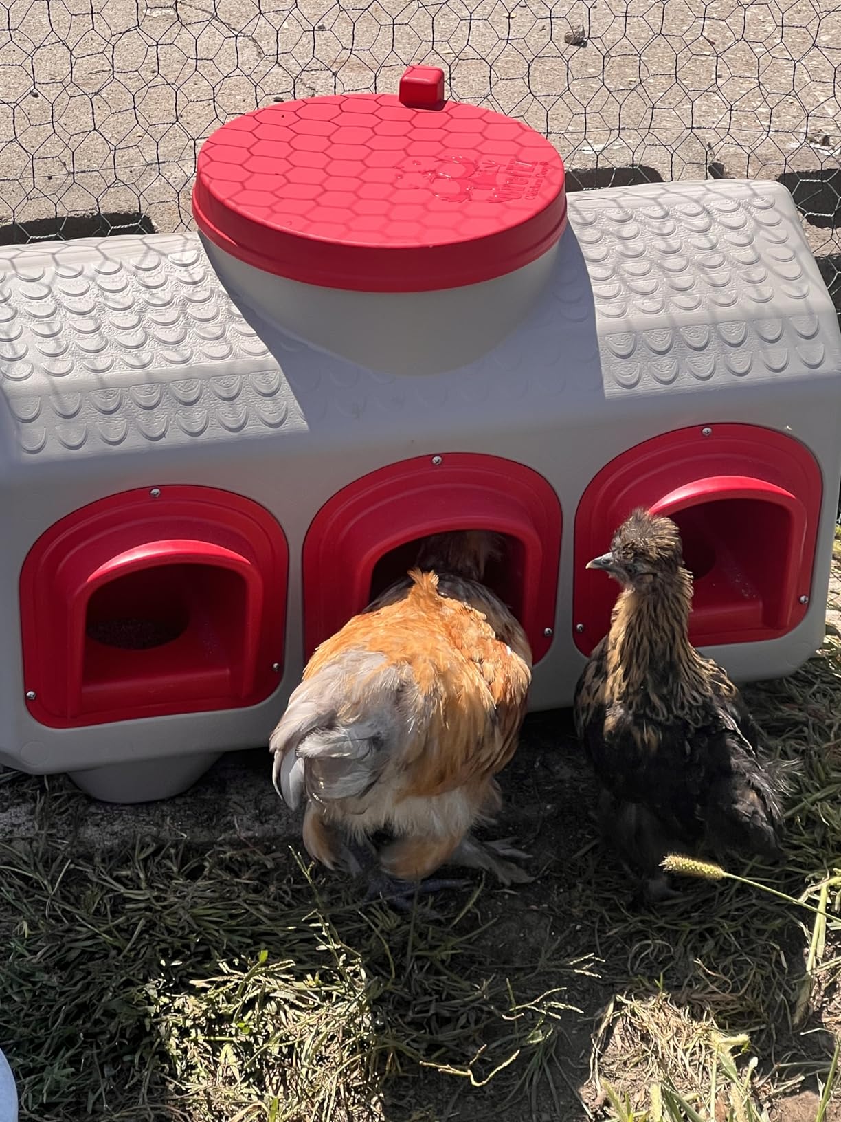 OverEZ Chicken Feeder - Holds 50 Pounds of Feed - Inside or Outside Hen Coop - Large Gravity Fed Automatic Poultry Dispenser - No Waste Rainproof Design customer photo 2