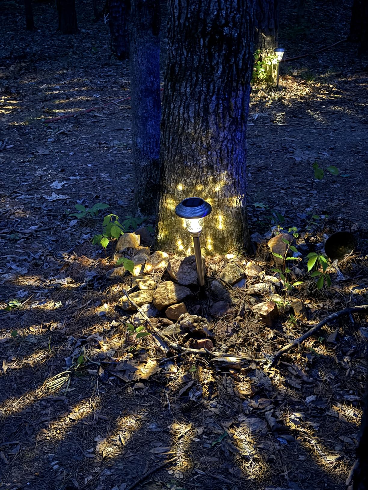 GIGALUMI Metal & Glass Solar Lights Outdoor, 8 Pack LED Garden Lights | Solar Pathway Lights Waterproof IP65, Warm White Landscape Path Lights, Garden Decor for Yard, Patio, Walkway (Brown) customer photo 1