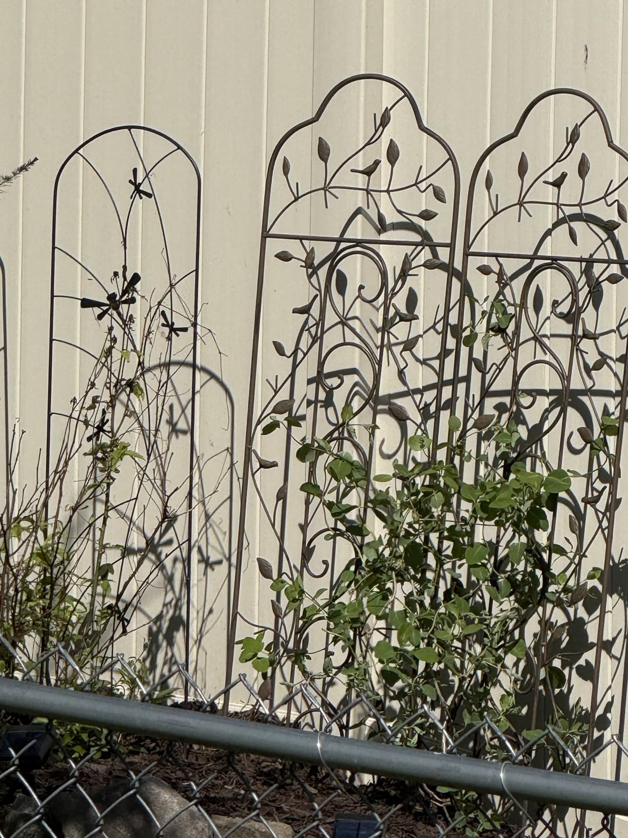Best Choice Products Set of 2 60x15-inch Iron Arched Garden Trellis w/Branches, Birds for Lawn, Garden, Backyard, Climbing Plants customer photo 1