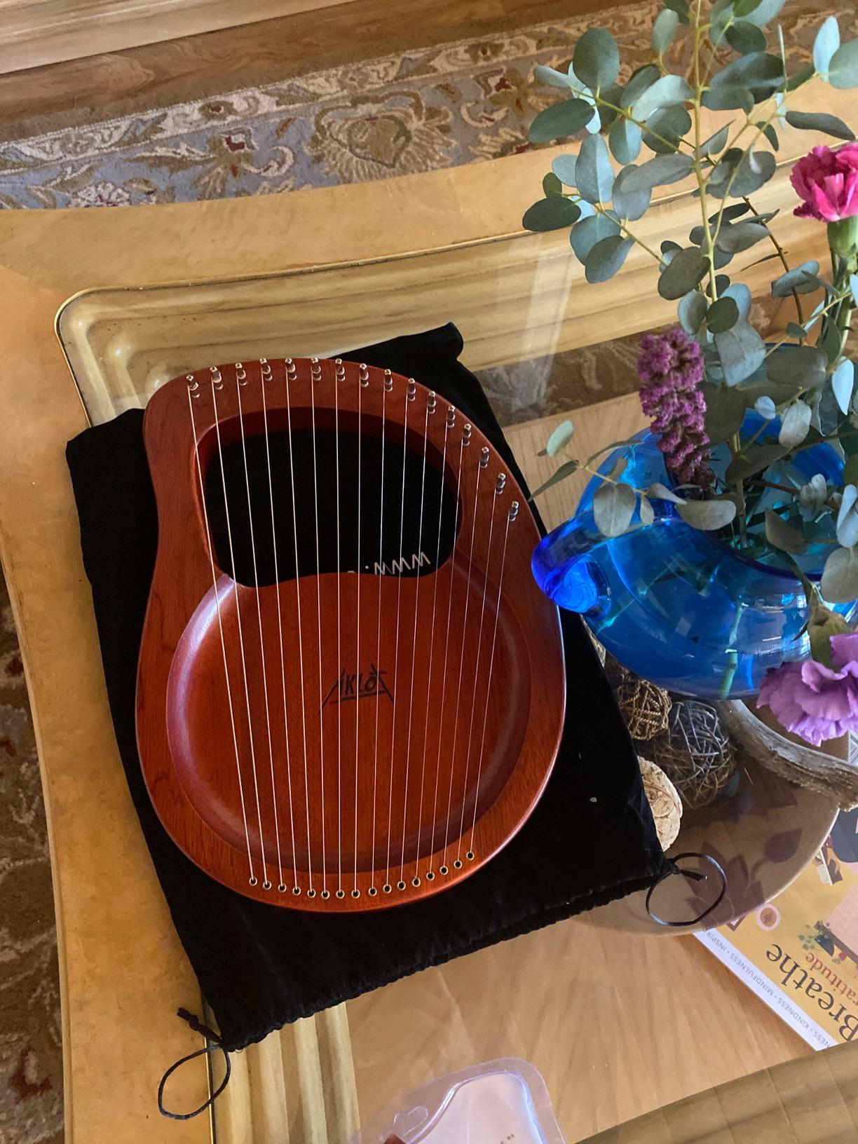 Lyre Harp, AKLOT 16 Metal Strings Mahogany Body Lyra Harp with Maple Saddle customer photo 1