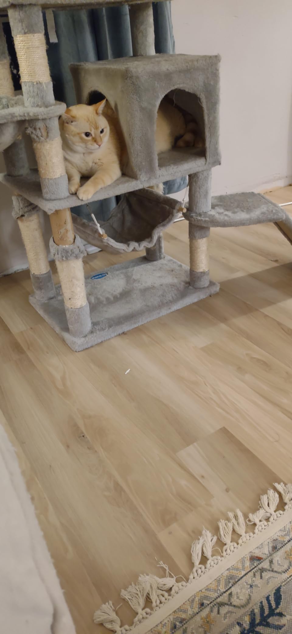 LUCiDA SURFACES Luxury Vinyl Floor Tiles-Peel & Stick Adhesive Flooring for DIY Installation-36 Wood-Look Planks-BaseCore-54 Sq. Feet customer photo 2