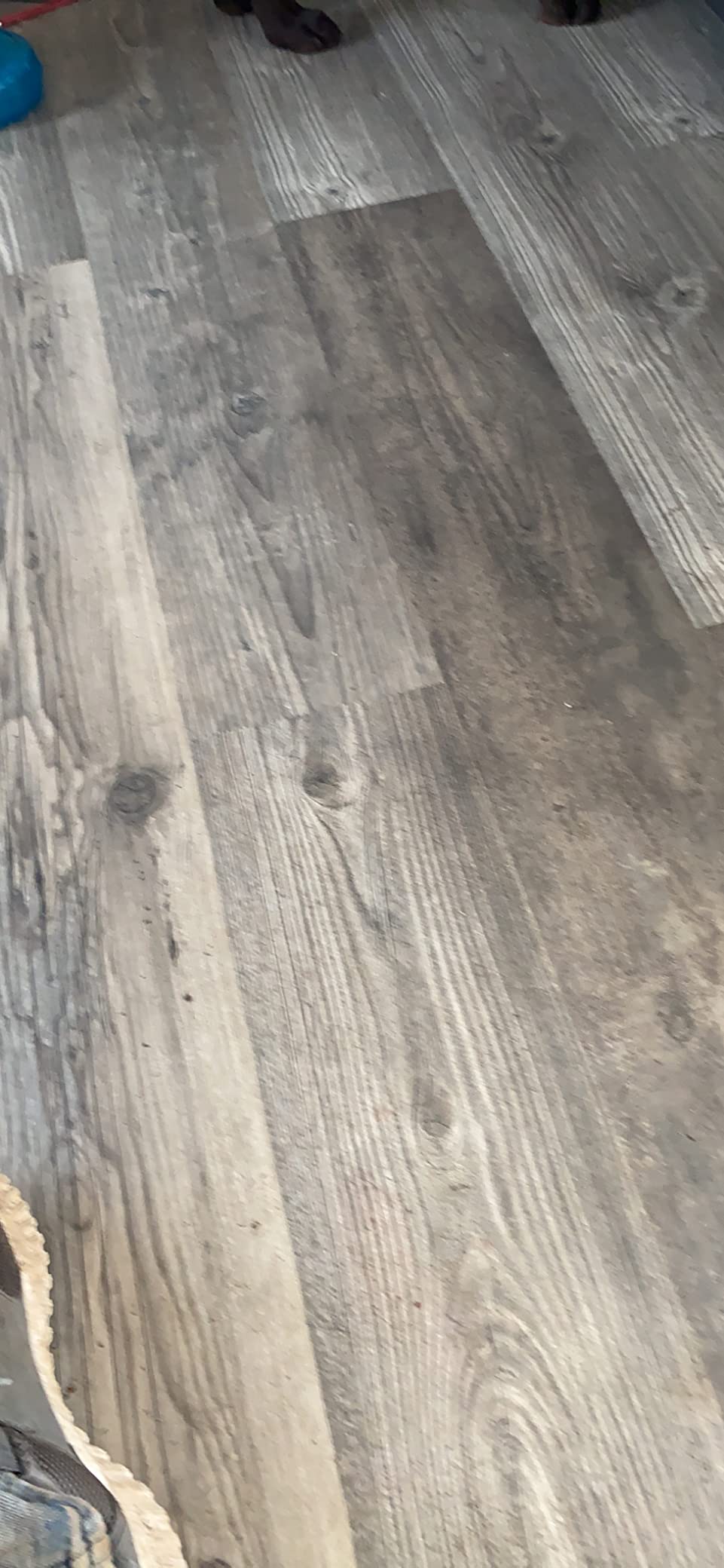 Lucida Surfaces Luxury Vinyl Flooring Tile | Interlocking Flooring for DIY Installation | 10 Wood Look Planks | Box of 10 Planks | 24.5 Sq. Feet customer photo 1