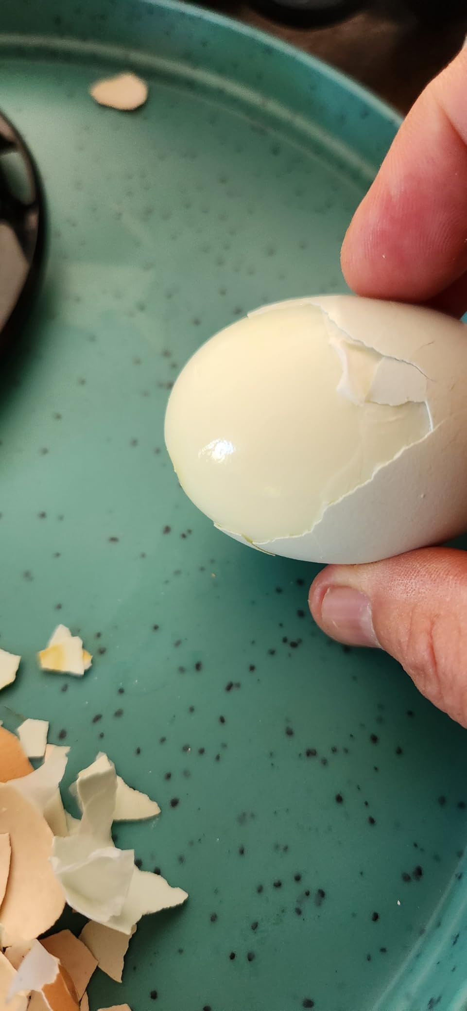 Hamilton Beach 3-in-1 Electric Hard Boiled Egg Cooker | Soft, Medium Or Hard Boiled Eggs | Egg Poacher | Omelet Maker |Vegetable Steamer | Holds 14 Eggs | Black | 25508G customer photo 1