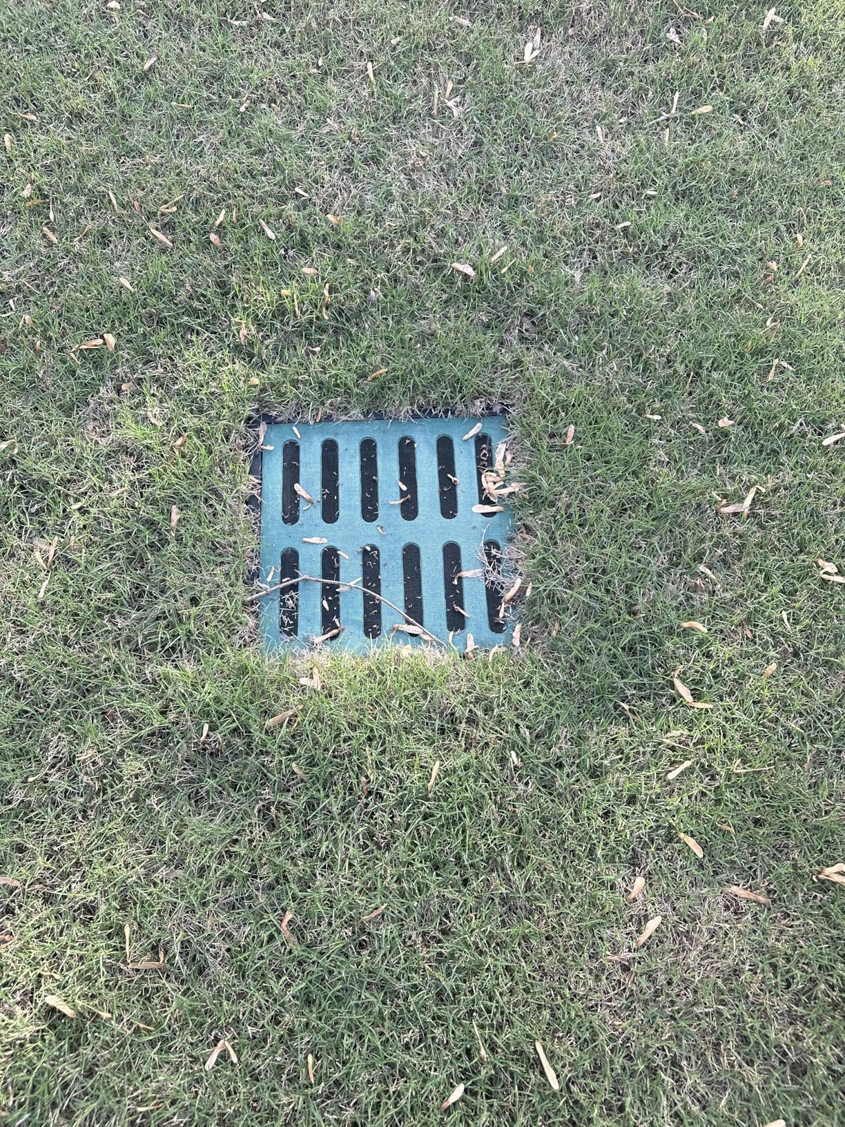 Catch Basin Kit 12X12 inch with Debris Basket and Grating | Square Storm Drain,Catch Basin for Drainage with 4 Outlet,Fit for 4 Size(2, 3, 4 and 6) inch Pipe,for Lawns, Landscaped Areas customer photo 1