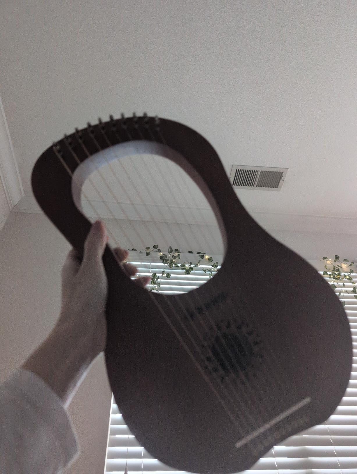 Donner Lyre Harp, 16 Metal Strings, Mahogany Body and Copper Saddle DLH-003 customer photo 2