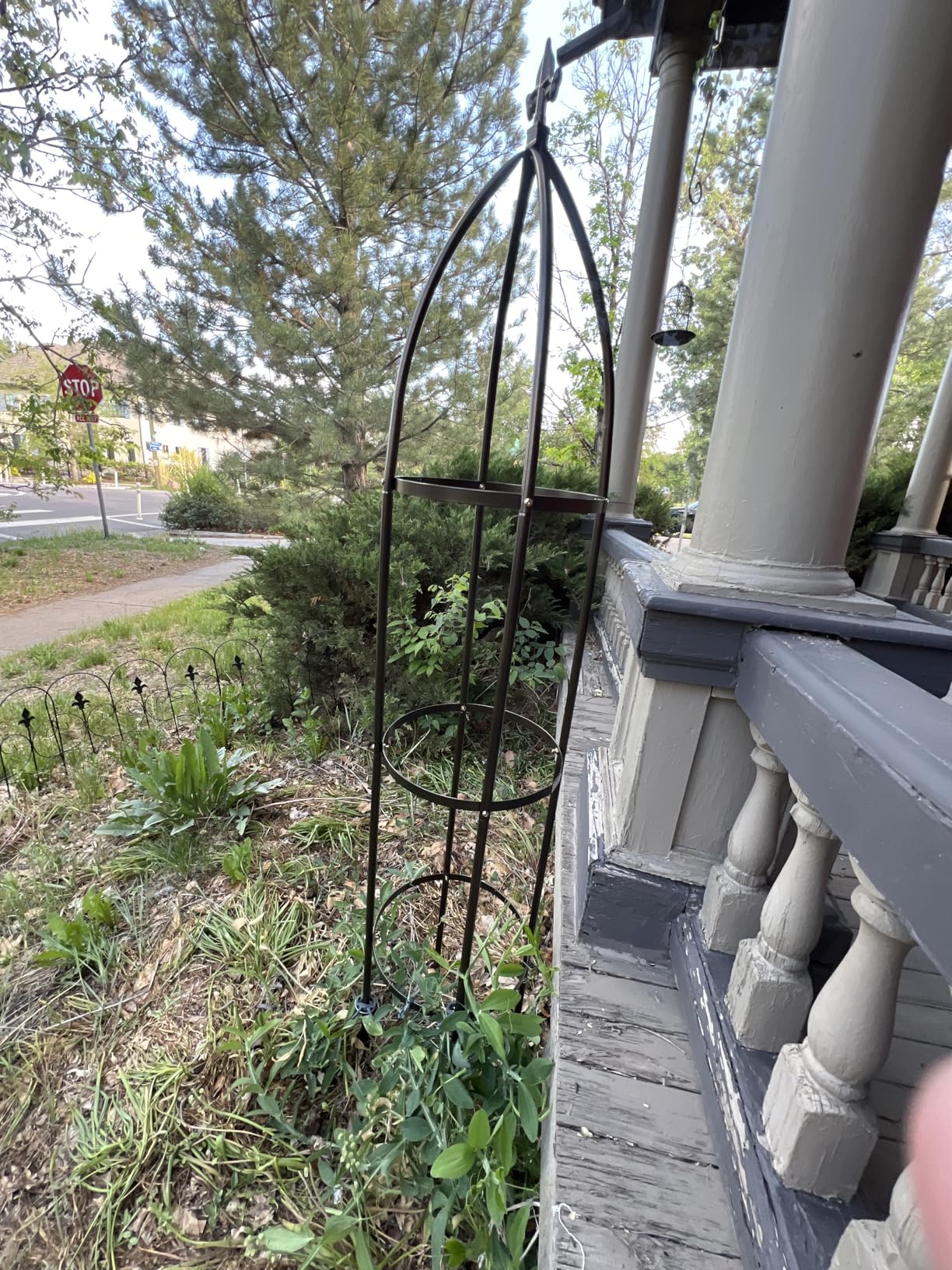 100% Metal Garden Obelisk Trellis Heavy Duty 6.3 ft Tall for Climbing Vines | Upgraded 16mm Thick Steel Tubes Rustproof Bronze Tower, 4.9lb Tall Plant Support Stands for Flowers, Roses, Clematis & Tomato customer photo 2
