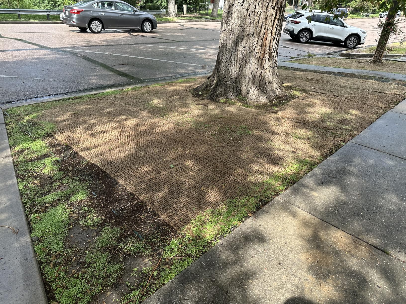 Jute Erosion Control, Soil Saver Mesh Blanket - 48