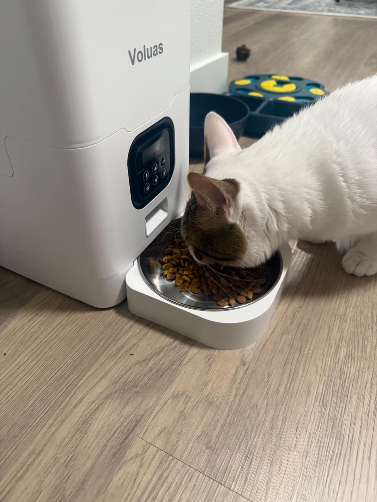 VOLUAS Automatic Cat Feeder, 4L Timed Dry Food Dispenser for Cats & Dogs | Programmable Portion Control, Up to 4 Meals Daily, Dual Power Supply, Power-Off Memory, 10-Second Voice Recorder customer photo 1