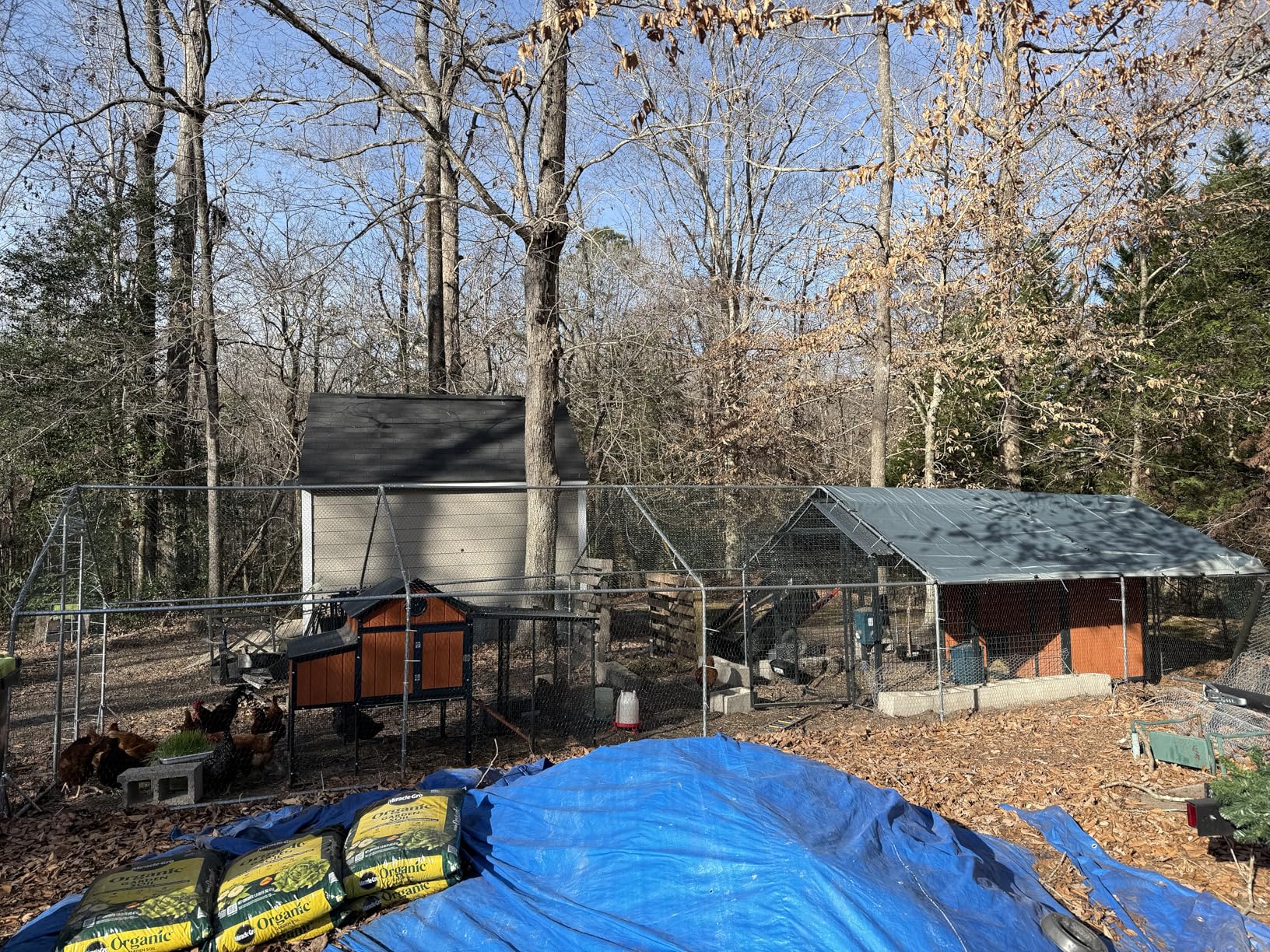 PawHut Large Chicken Coop Metal Chicken Run with Waterproof and Anti-UV Cover, Spire Shaped Walk in Fence Cage Hen House for Outdoor and Yard Farm Use, 9.8' x 26.2' x 6.6' customer photo 2