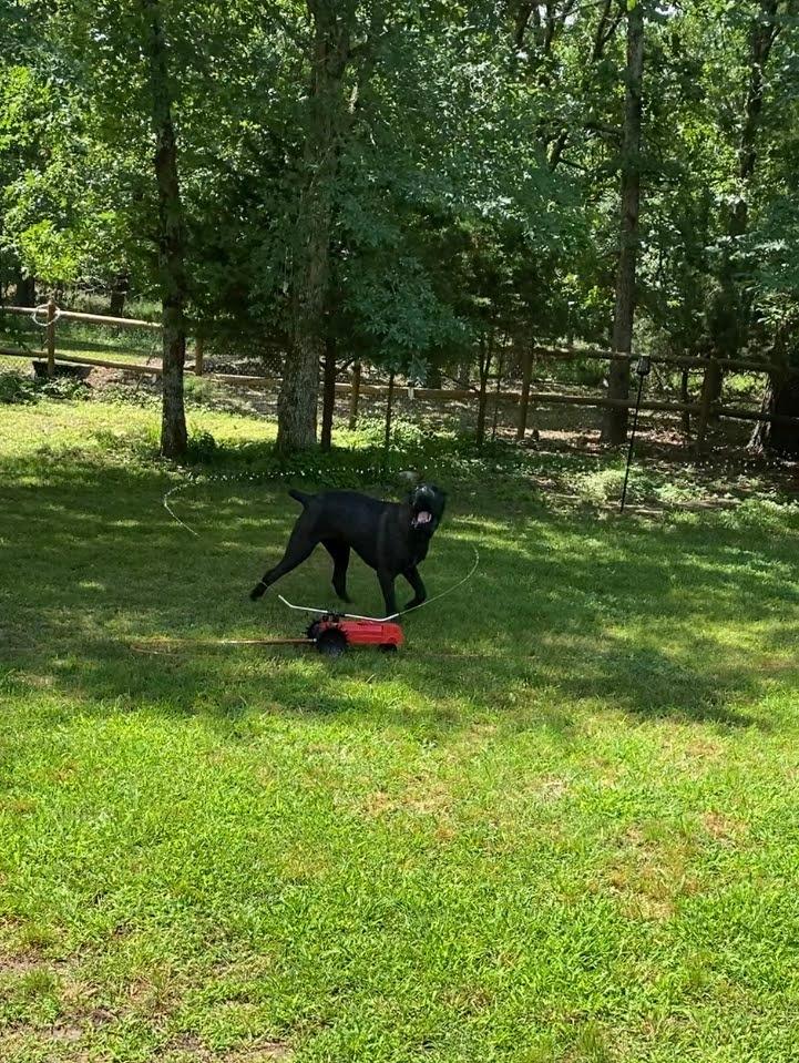 Melnor 65193AMZ Traveling Sprinkler with QuickConnects customer photo 2