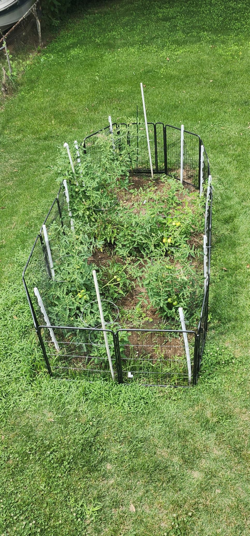 FXW No Dig Garden Fence, Outdoor for Yard, 40in(H) x 36.4ft(L), 16 Panels | Heavy-duty Metal Animal Barrier, Dog-friendly yard, Flower bed protection, Flexible layout, Decorative customer photo 2