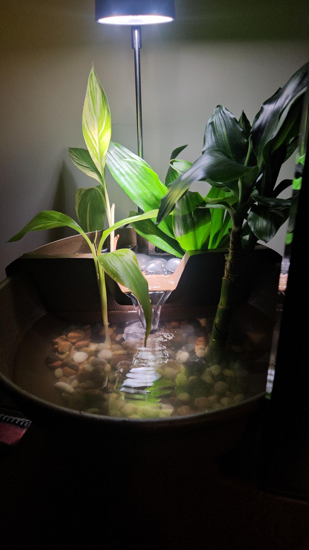 Aquascape AquaGarden Tabletop Fountain Kit (Mocha) customer photo 1