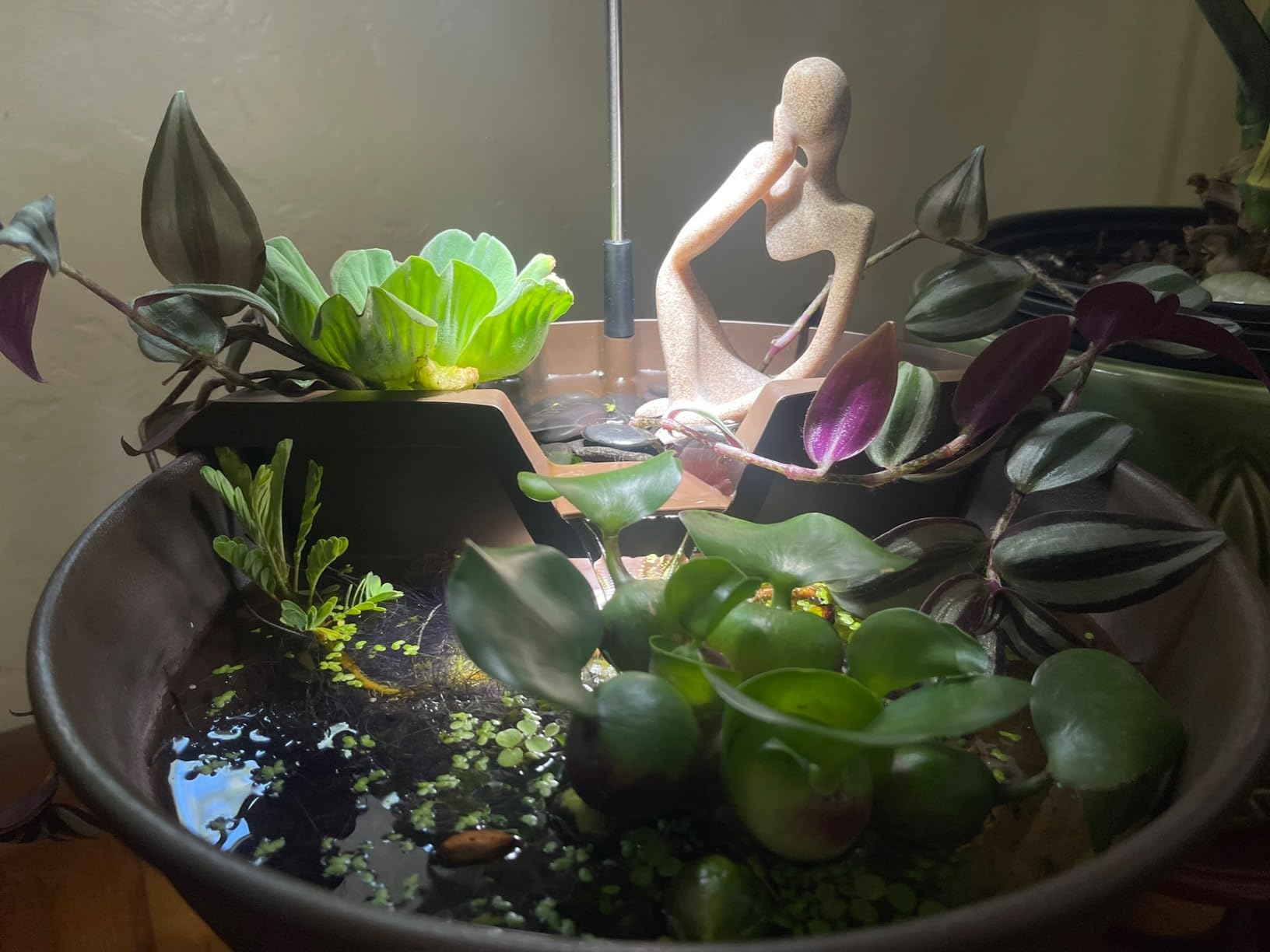 Aquascape AquaGarden Tabletop Fountain Kit (Mocha) customer photo 2