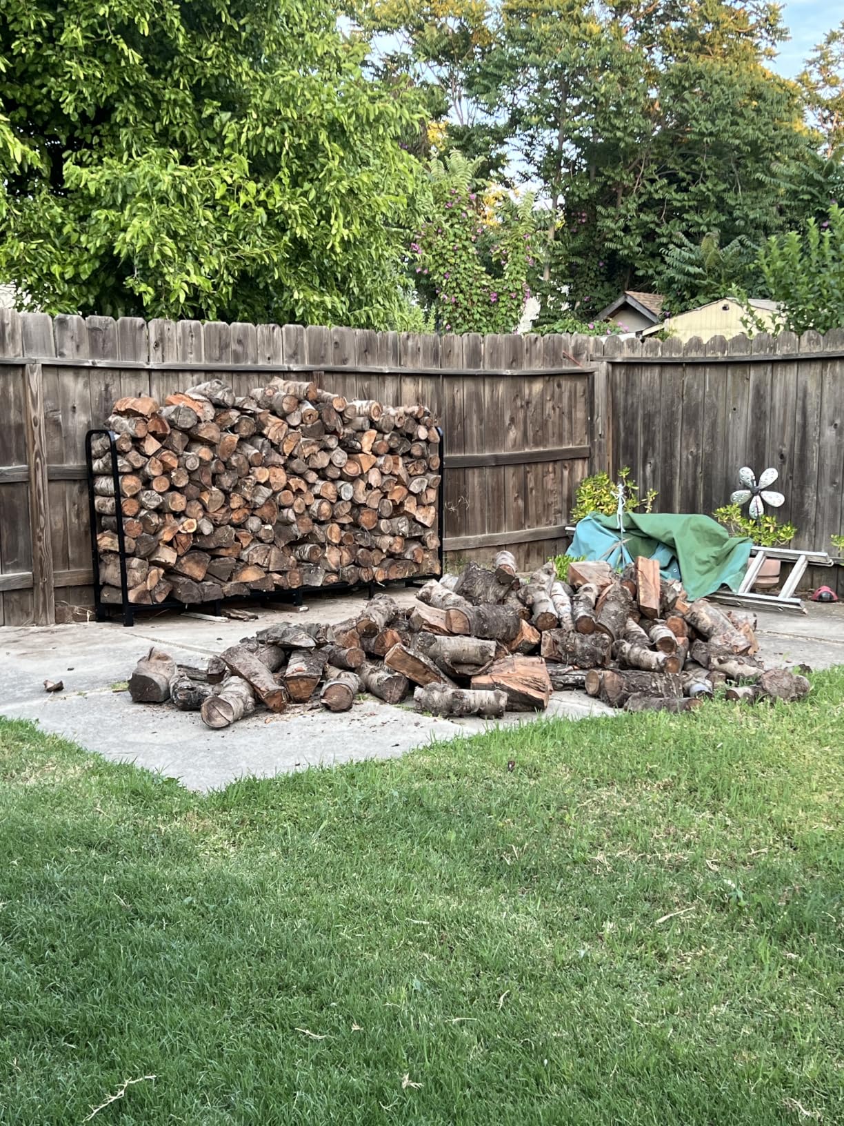 8ft Outdoor Firewood Rack, Upgraded Heavy Duty Logs Stand Stacker Holder for Fireplace - Metal Lumber Storage Carrier Organizer, Bright Black customer photo 1