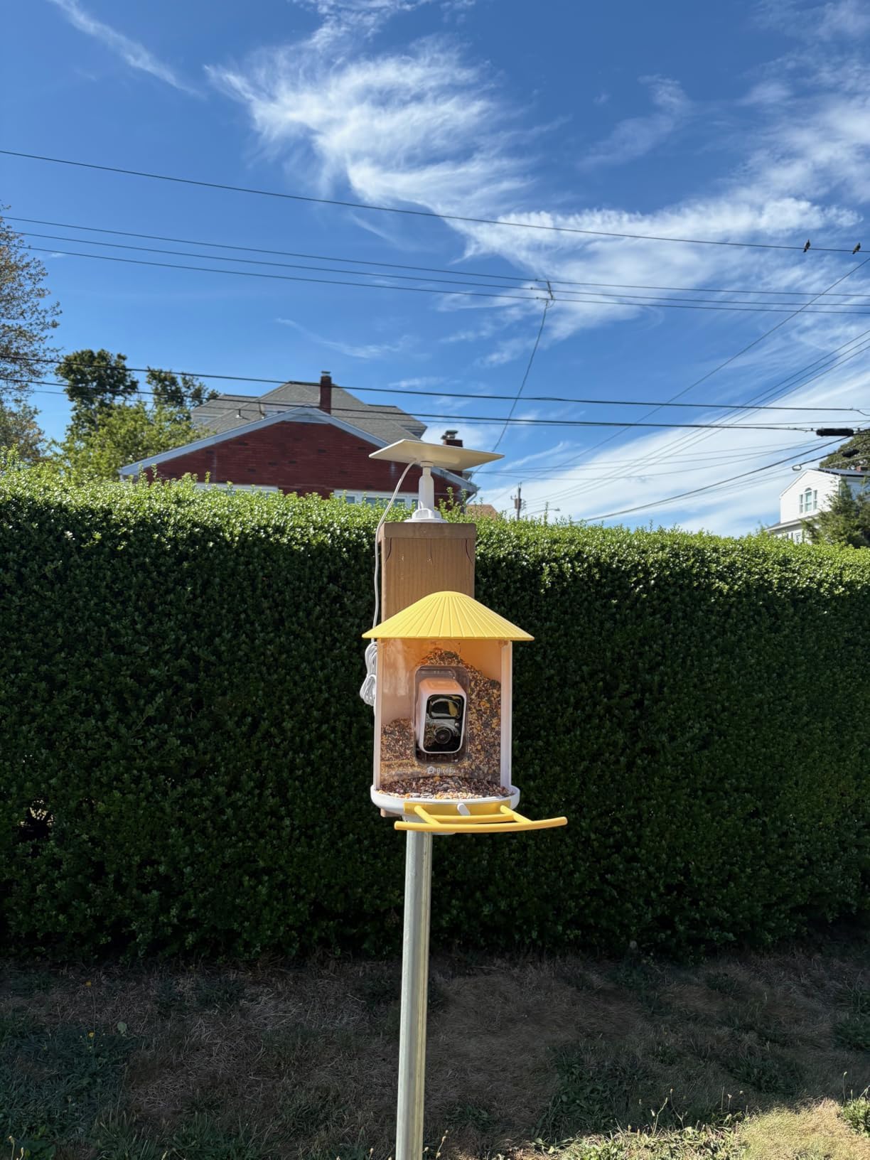 NETVUE by Birdfy Smart Bird Feeder with AI Camera, Auto Capture Videos & Live Stream, Wireless Wildbird Watching, Outdoor Backyard Birder(AI by Subscription) Blue customer photo 2