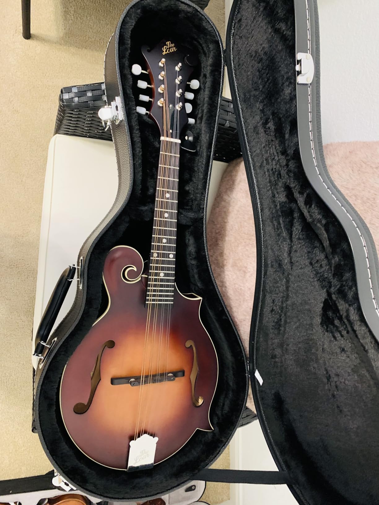 Ktaxon F-Style Mandolin Hard Case, Deluxe Leather Hard-Shell Carrying Case, Wooden Protective Case with Plush Interior customer photo 1