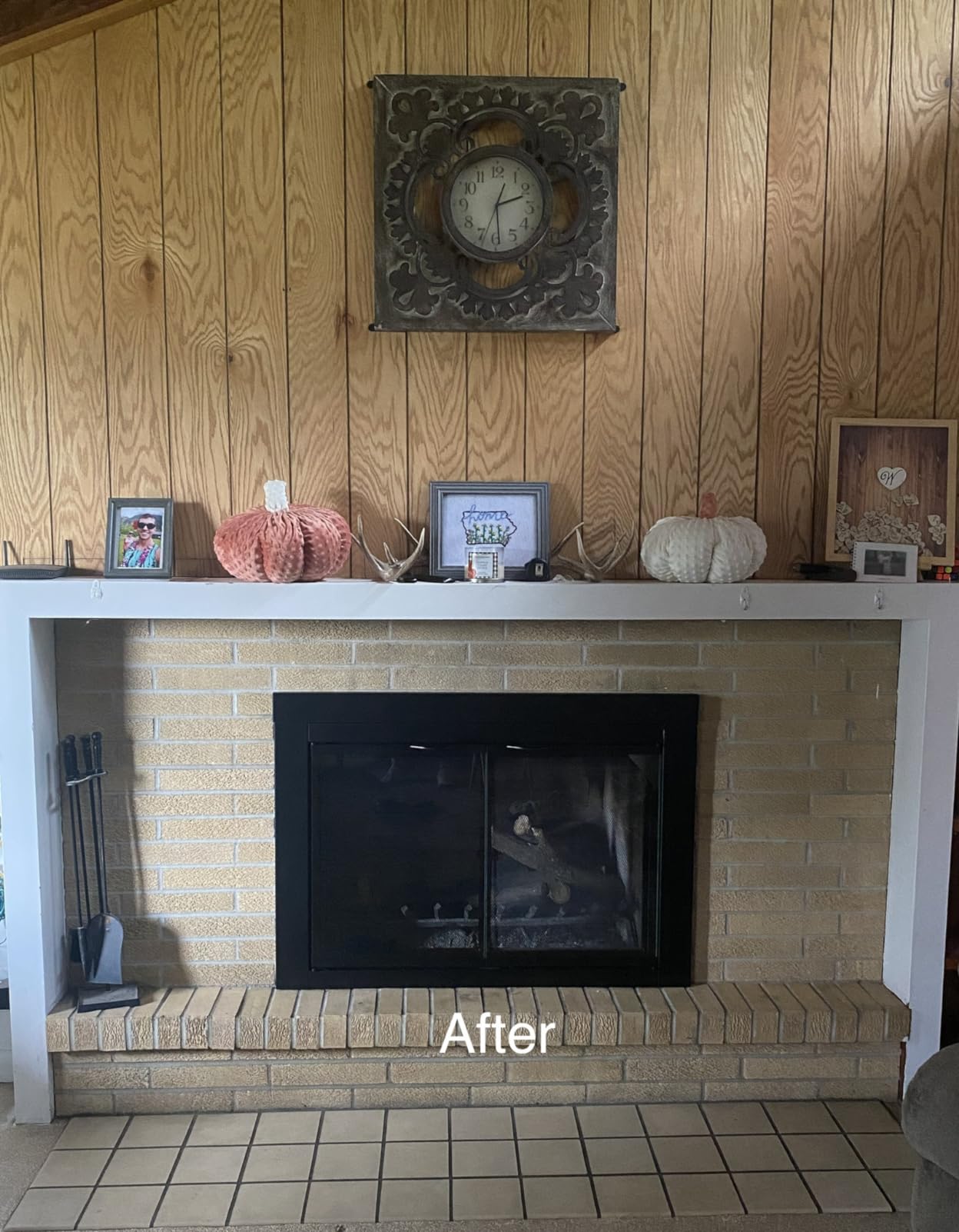 Pleasant Hearth Alpine Collection Fireplace Glass Door customer photo 2