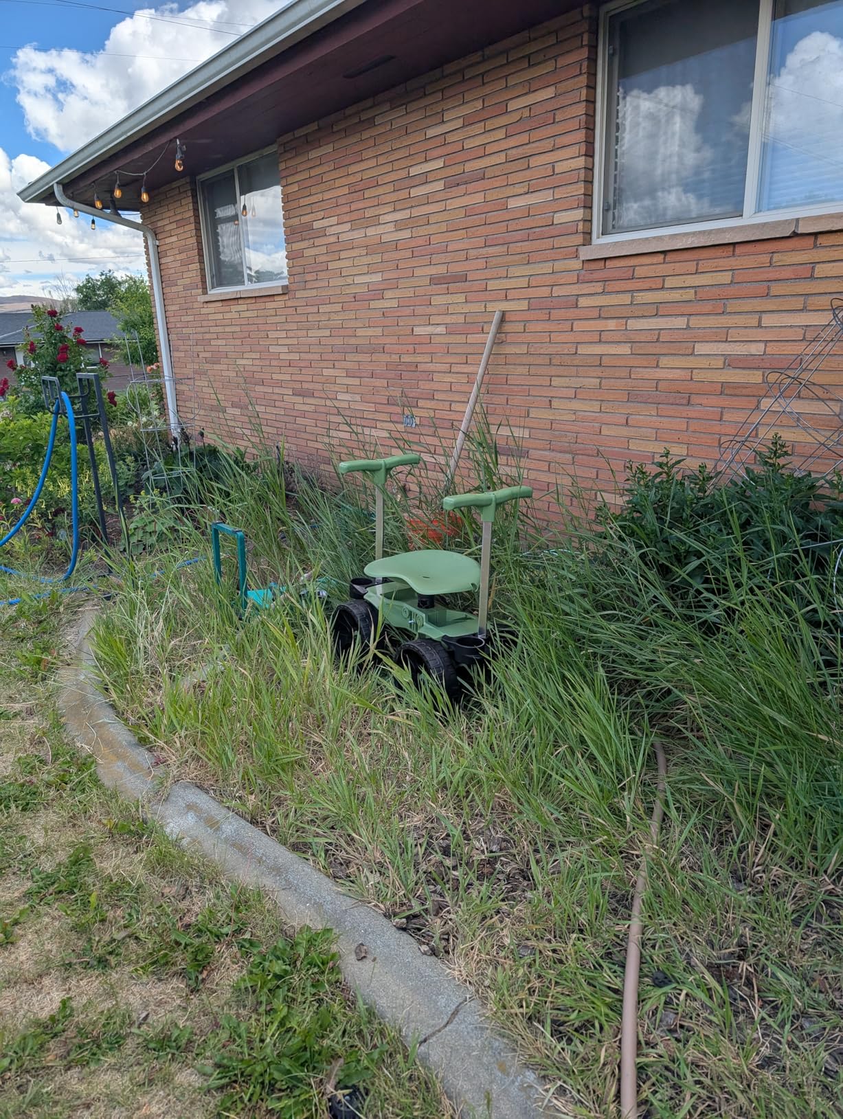 TheXceptional Wheelie Easy-Up | Wheeled Garden Stool with Handles Relieve Pain Getting Up and Down | Gardening Work-Seat with Wheels for Elderly Seniors | Made in USA by Vertex | Model EX530 customer photo 1