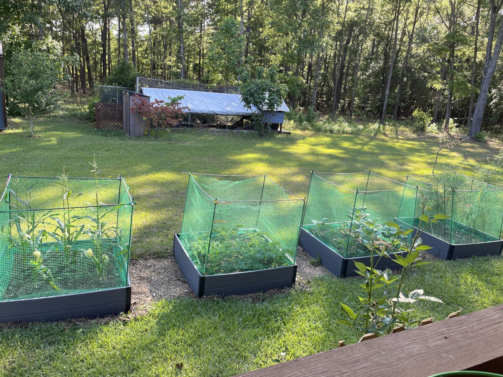 Garden Fencing 4 x 100FT, 0.4