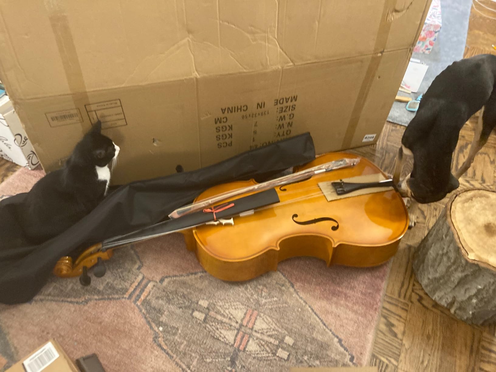 Ktaxon Full-Size Cello, Beginner Cello 4/4, Acoustic Cello Kit with Portable Bag, Bow, Bridge, Rosin, Adults & Kids String Musical Instruments (Natural) customer photo 2