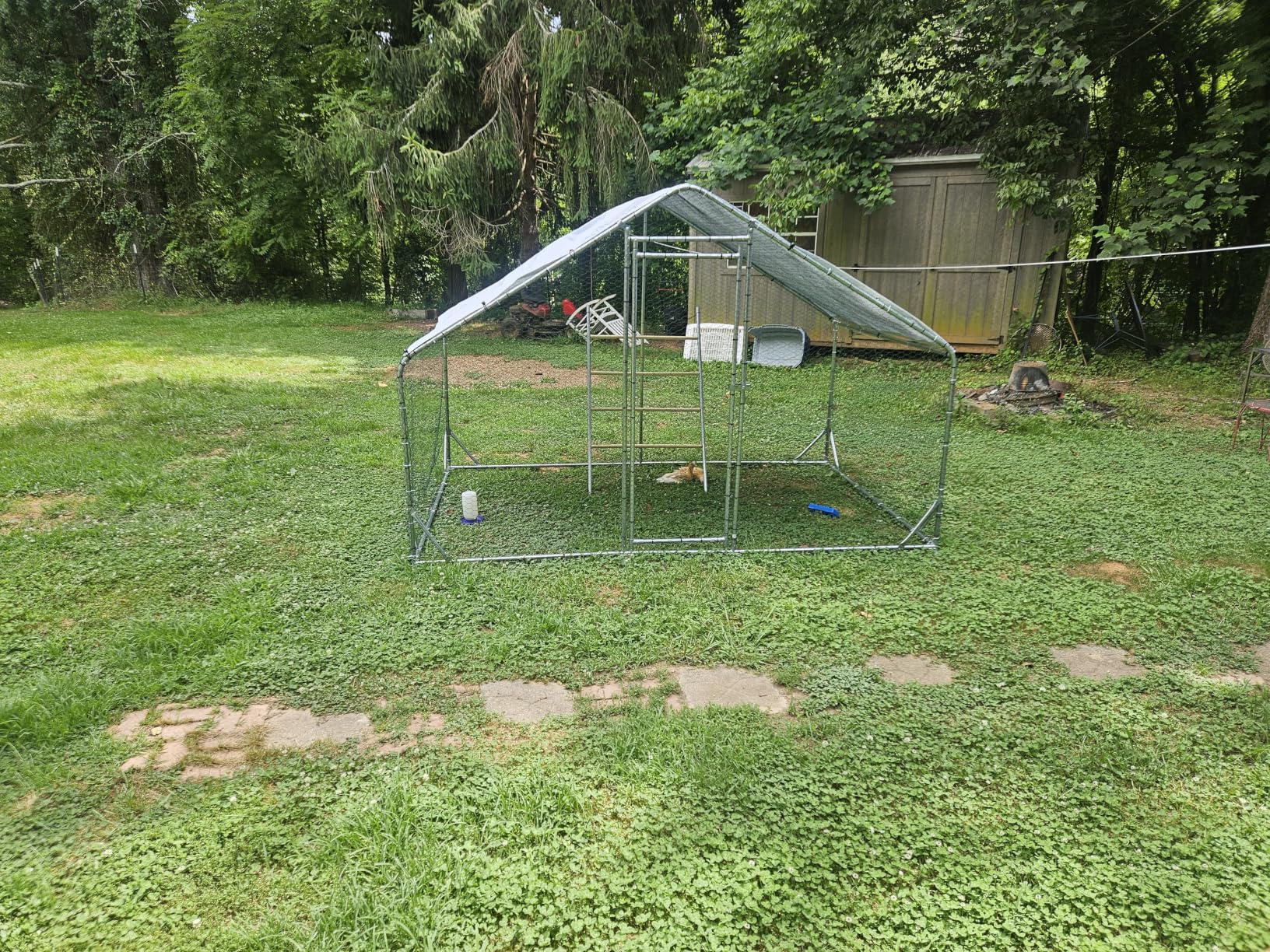 CHIKENCOOP 9.8 x 6.5 x 6.5 ft Metal Chicken Coop, Chicken Run with Cover | Walk-in outdoor enclosure with waterproof UV-resistant cover, reinforced frame, and 47 x 40 in eucalyptus perch customer photo 1