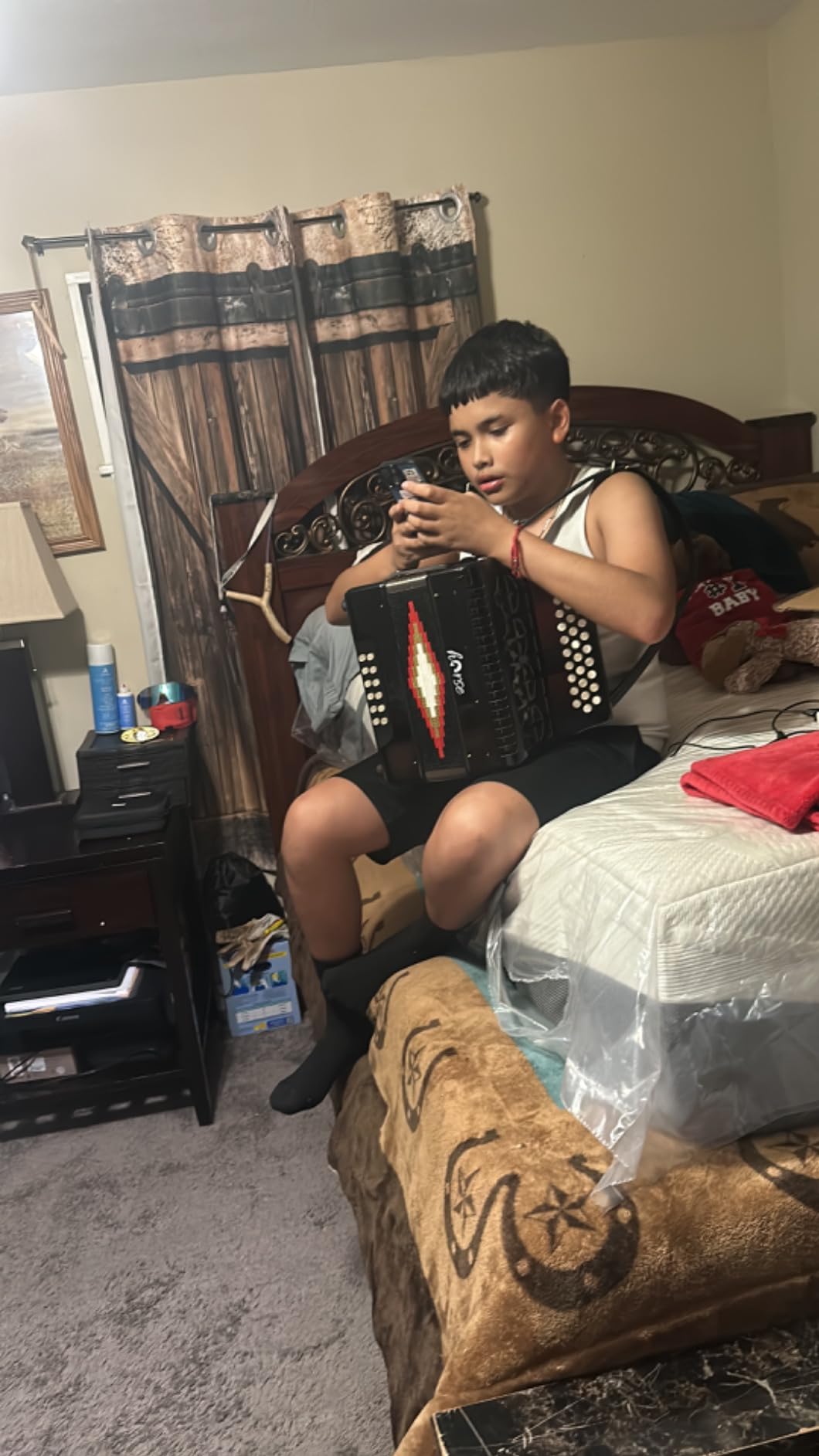Horse 31 Key Accordion, 12 Bass 3-Row F/B/E Diatonic Accordions Instruments for Adults with Case, Gloves, Cleaning Cloth, Oversleeves, and Straps customer photo 1